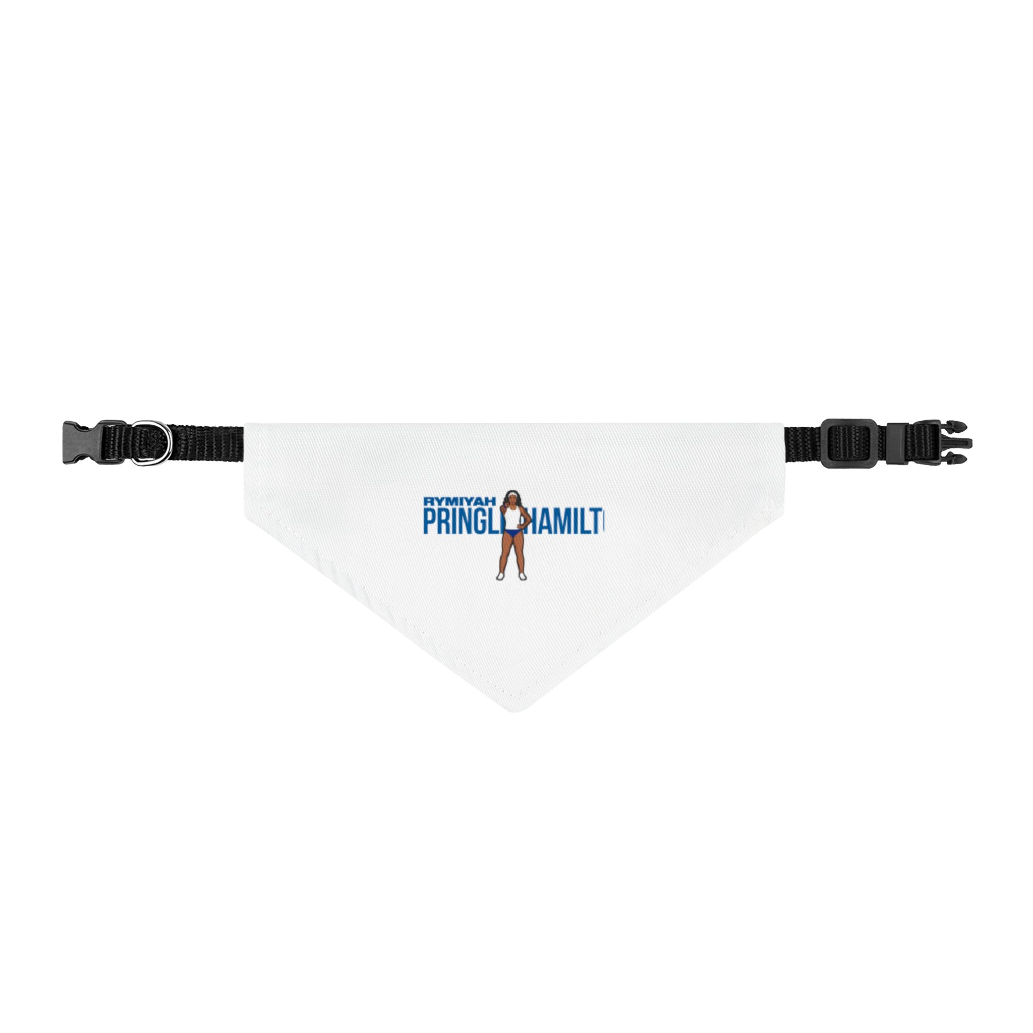 Pet Bandana — character_player_name in Classic