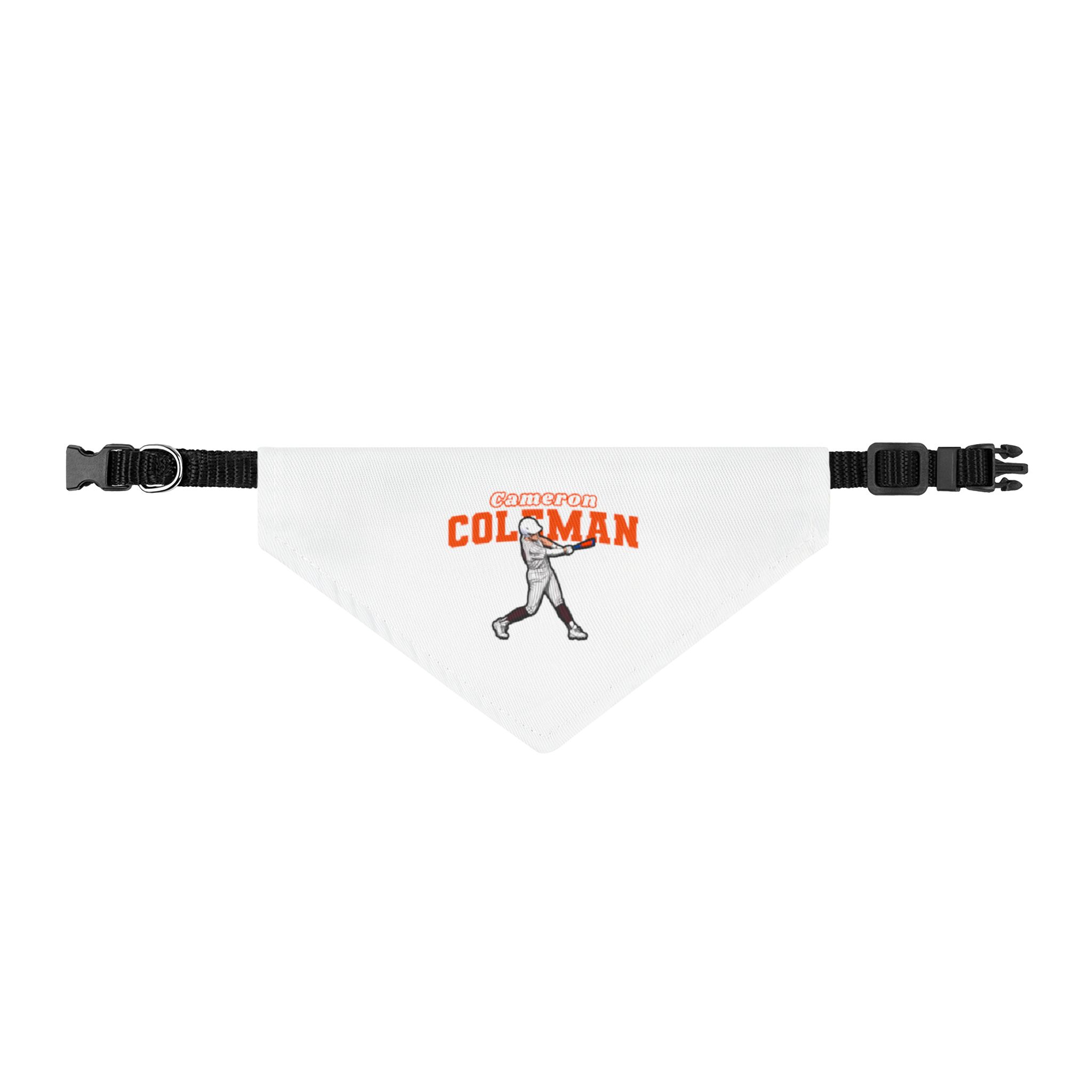 Pet Bandana — character_name_arch in Classic