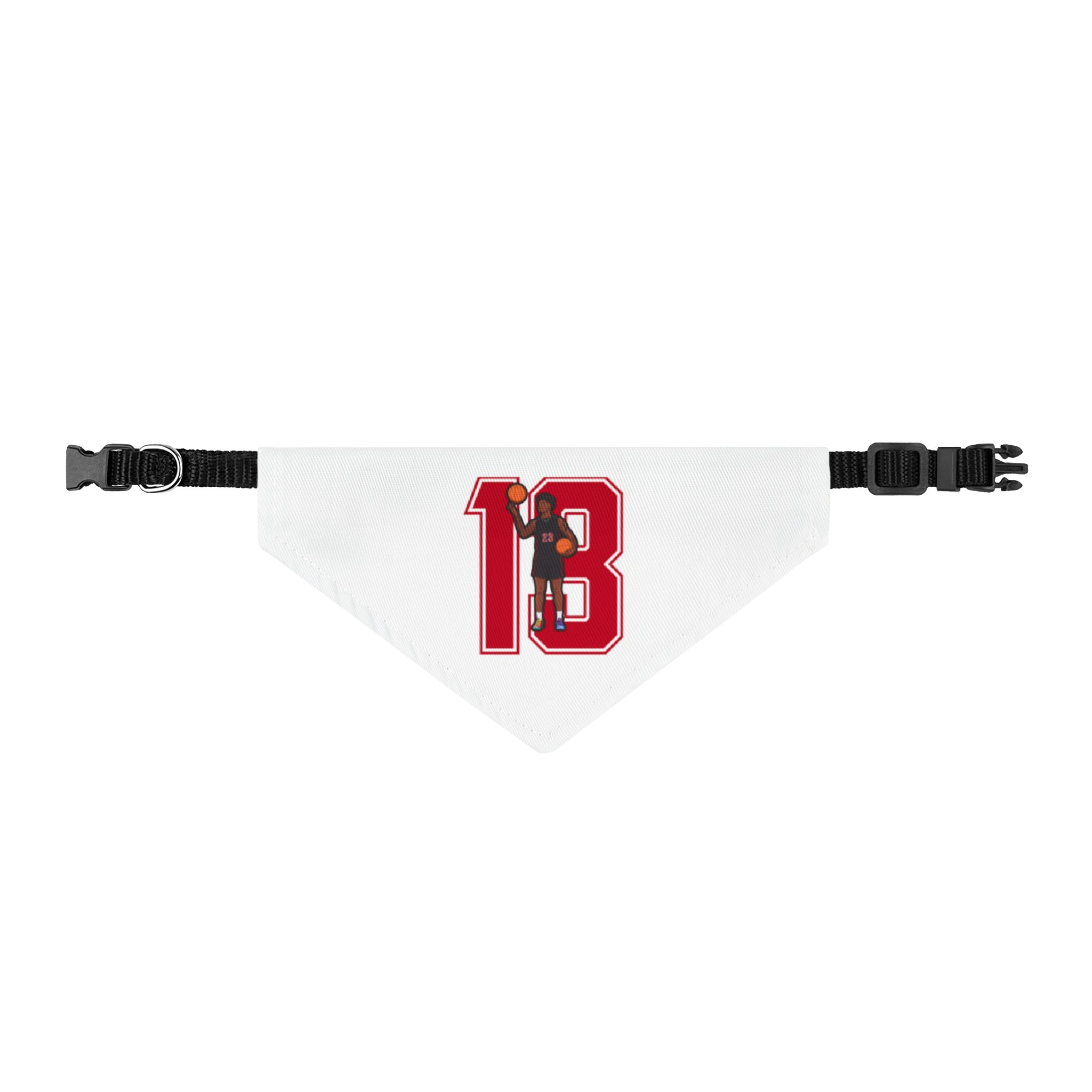 Pet Bandana — character_number in Classic