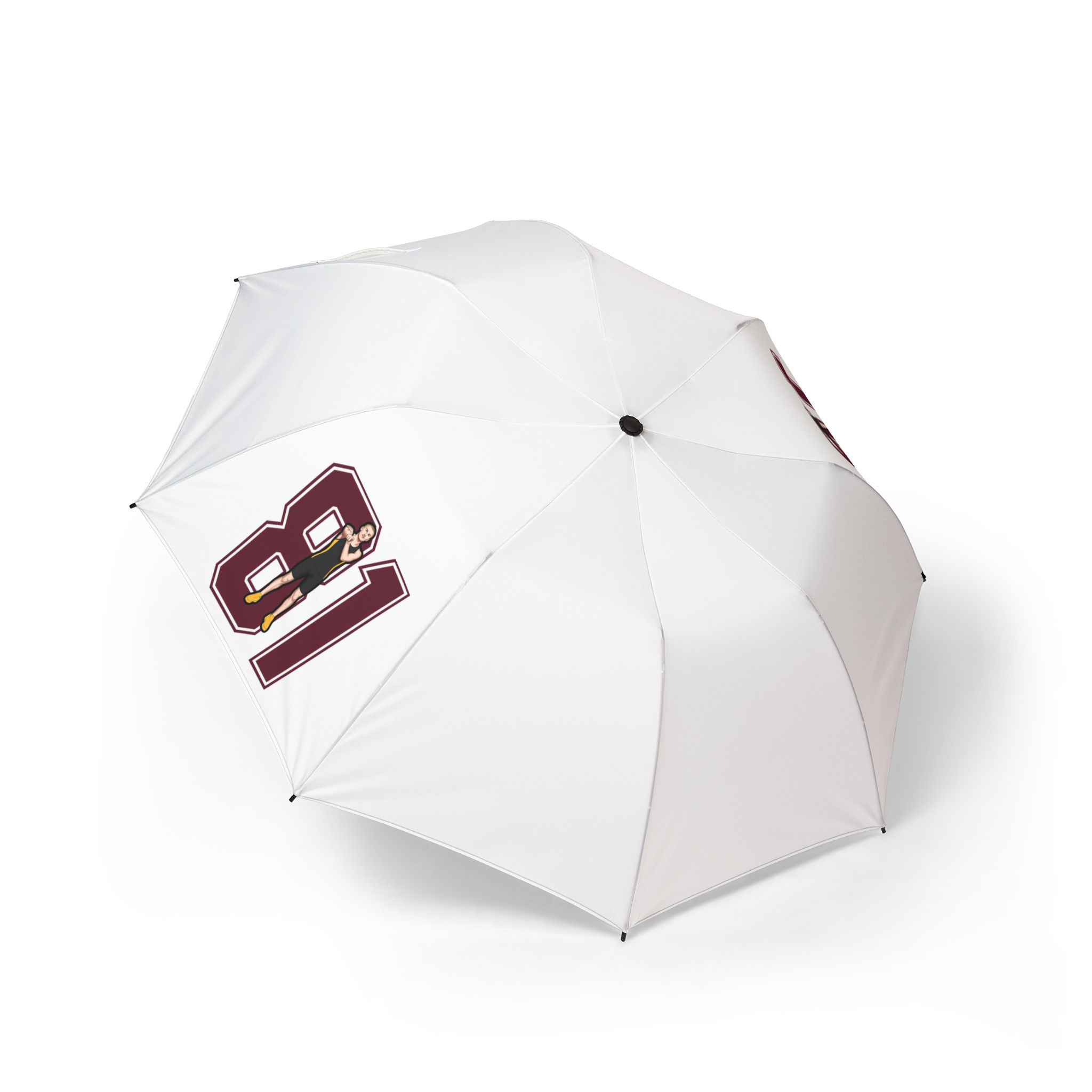 Foldable Umbrella