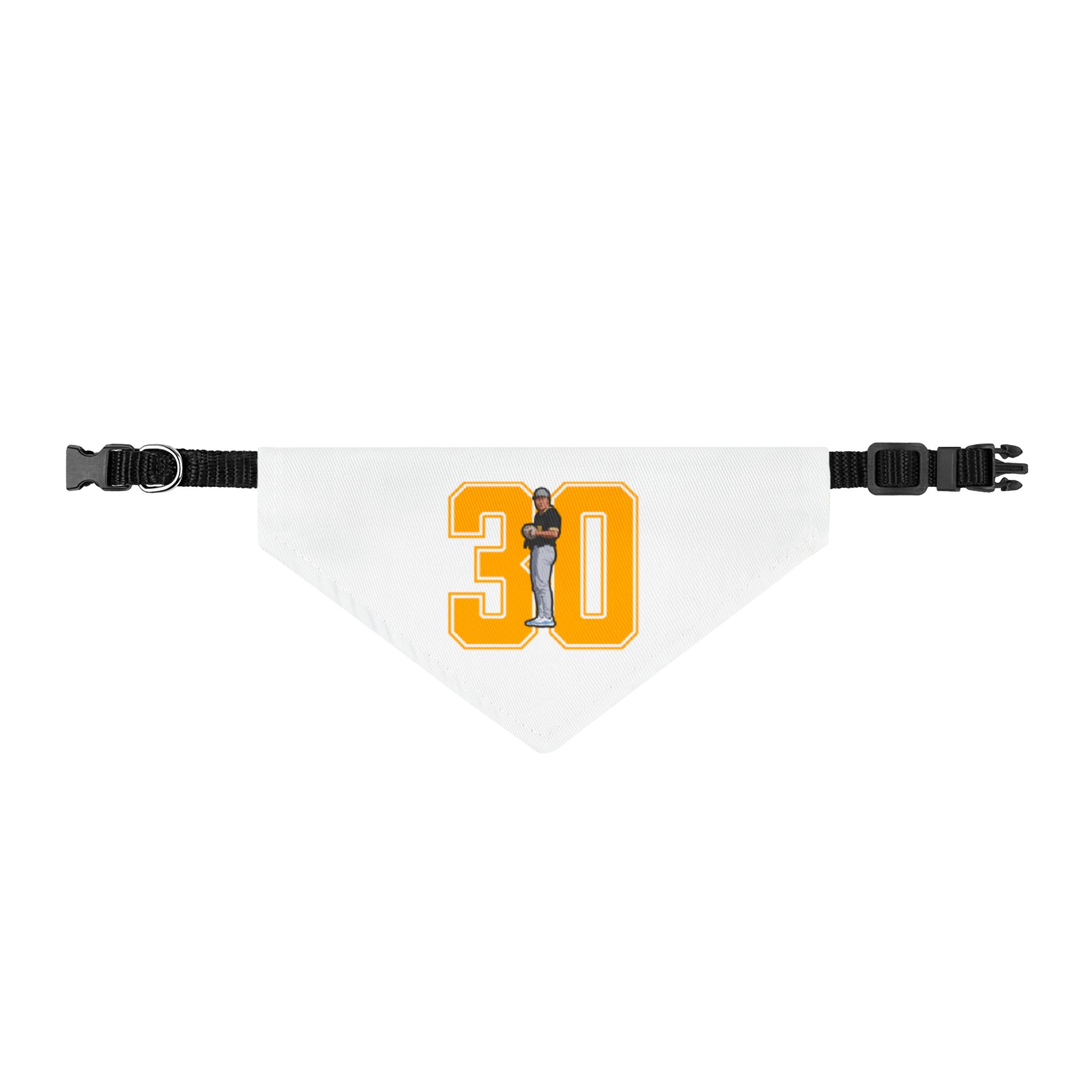 Pet Bandana — character_number in Classic