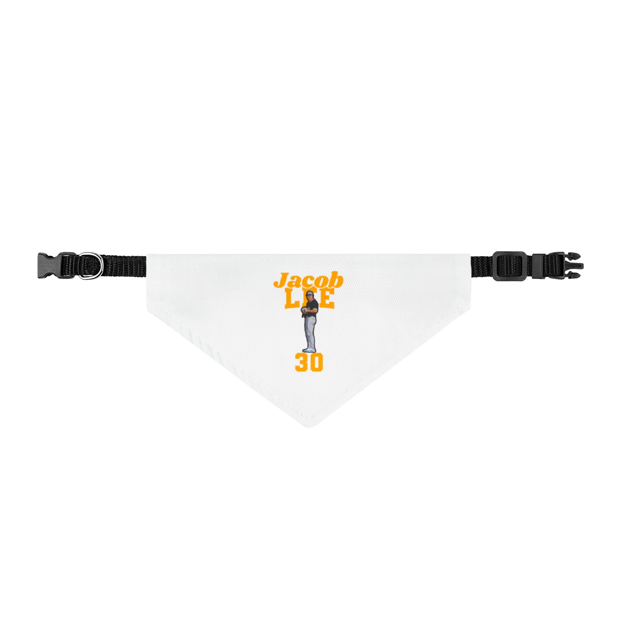 Pet Bandana — character_signature_arch in Classic