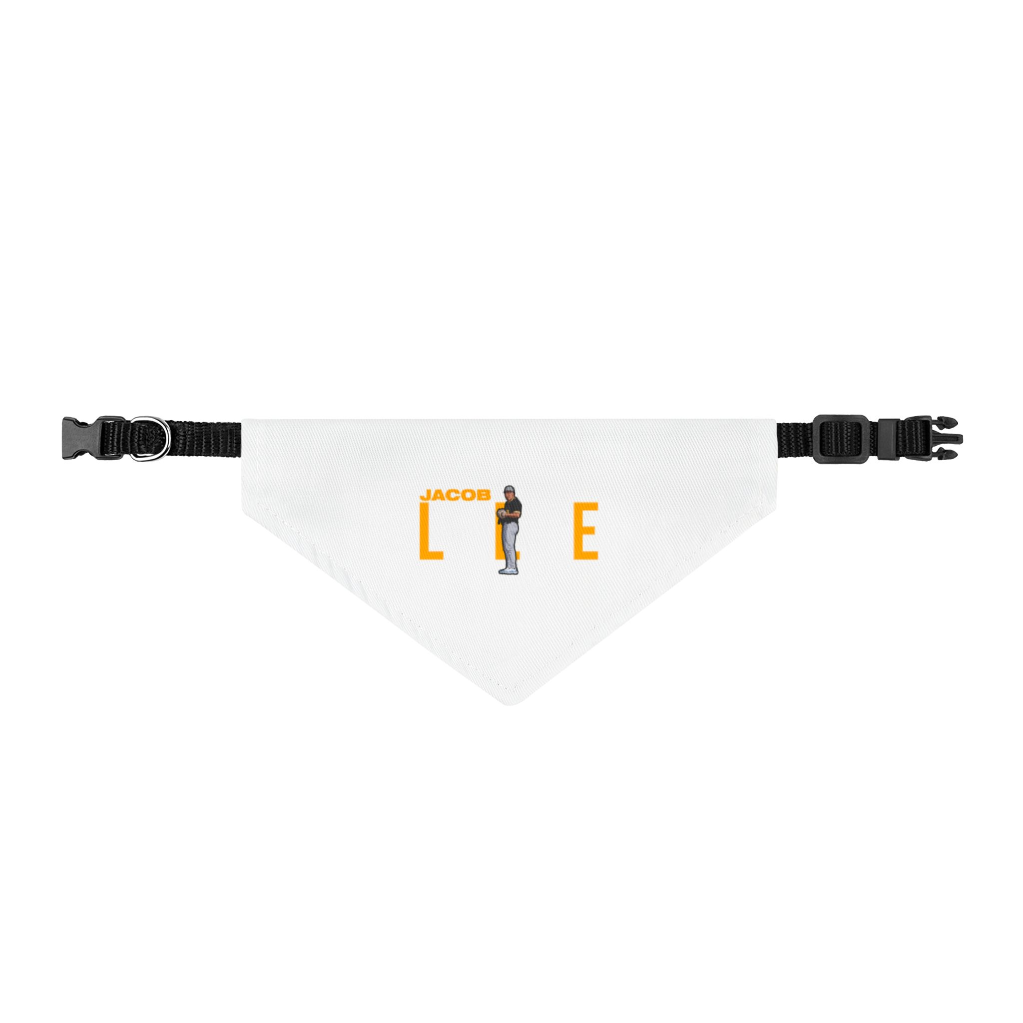Pet Bandana — character_player_name in Classic