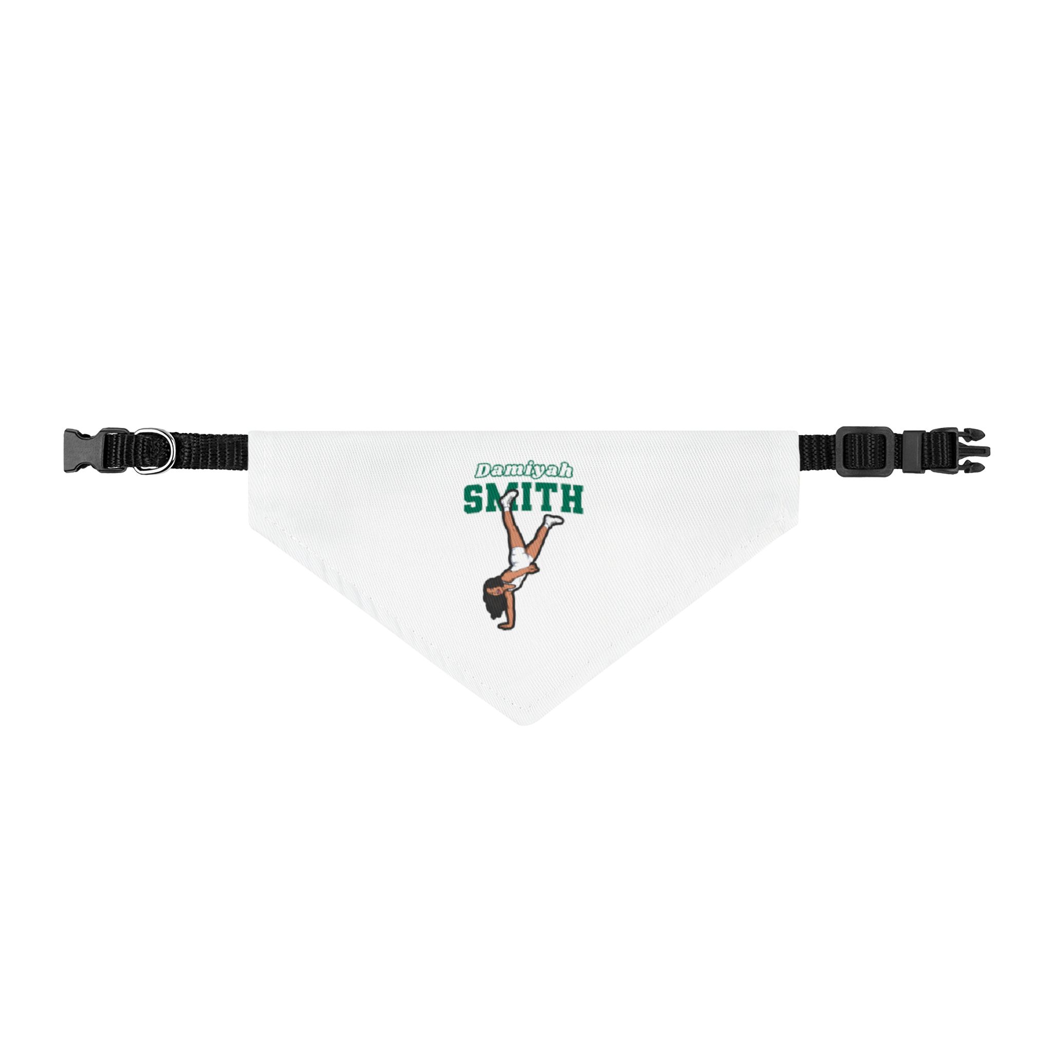 Pet Bandana — character_name_arch in Classic