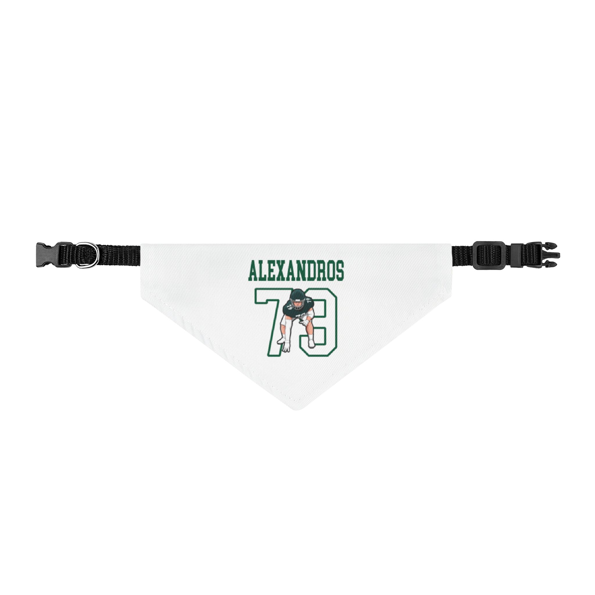 Pet Bandana — character_shirsey in Classic