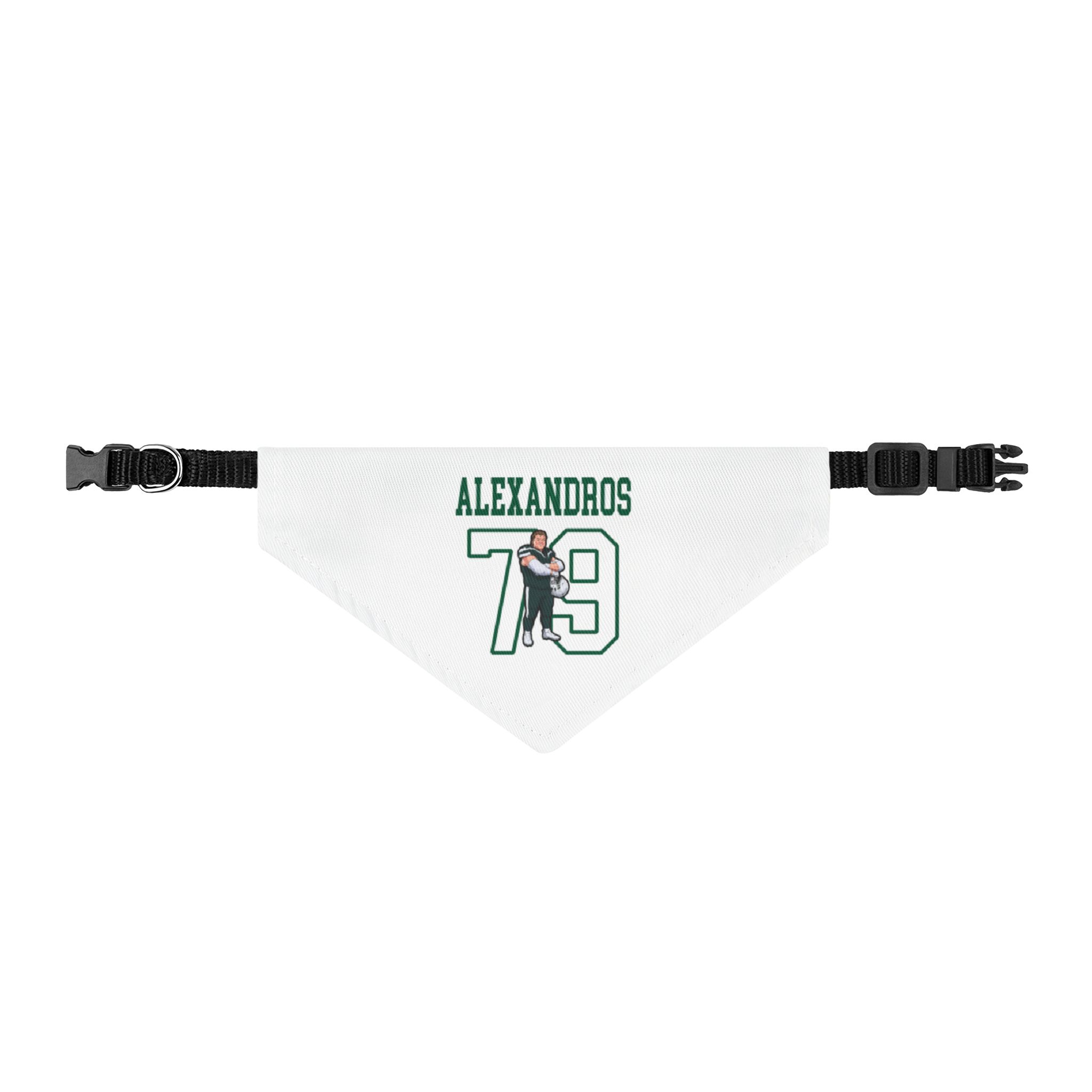Pet Bandana — character_shirsey in Classic