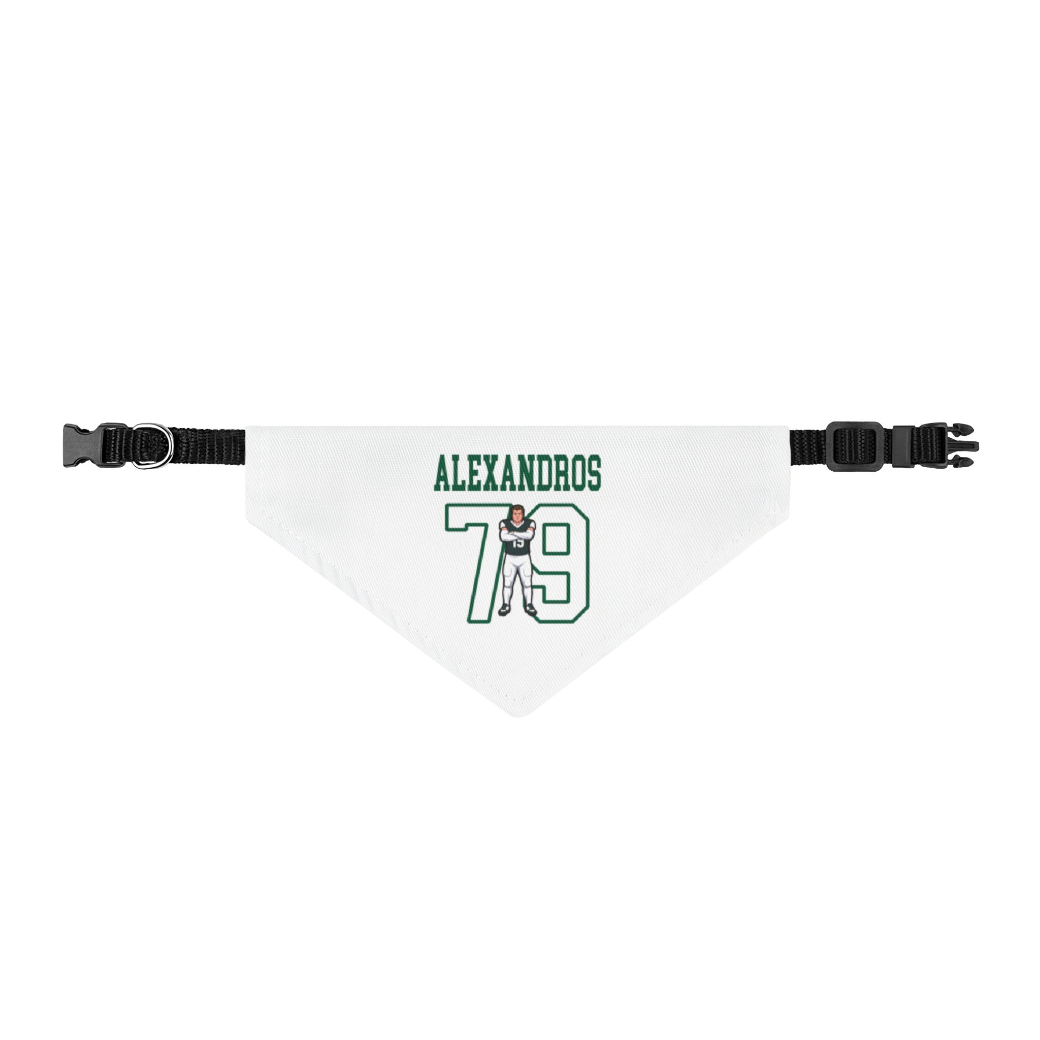Pet Bandana — character_shirsey in Classic