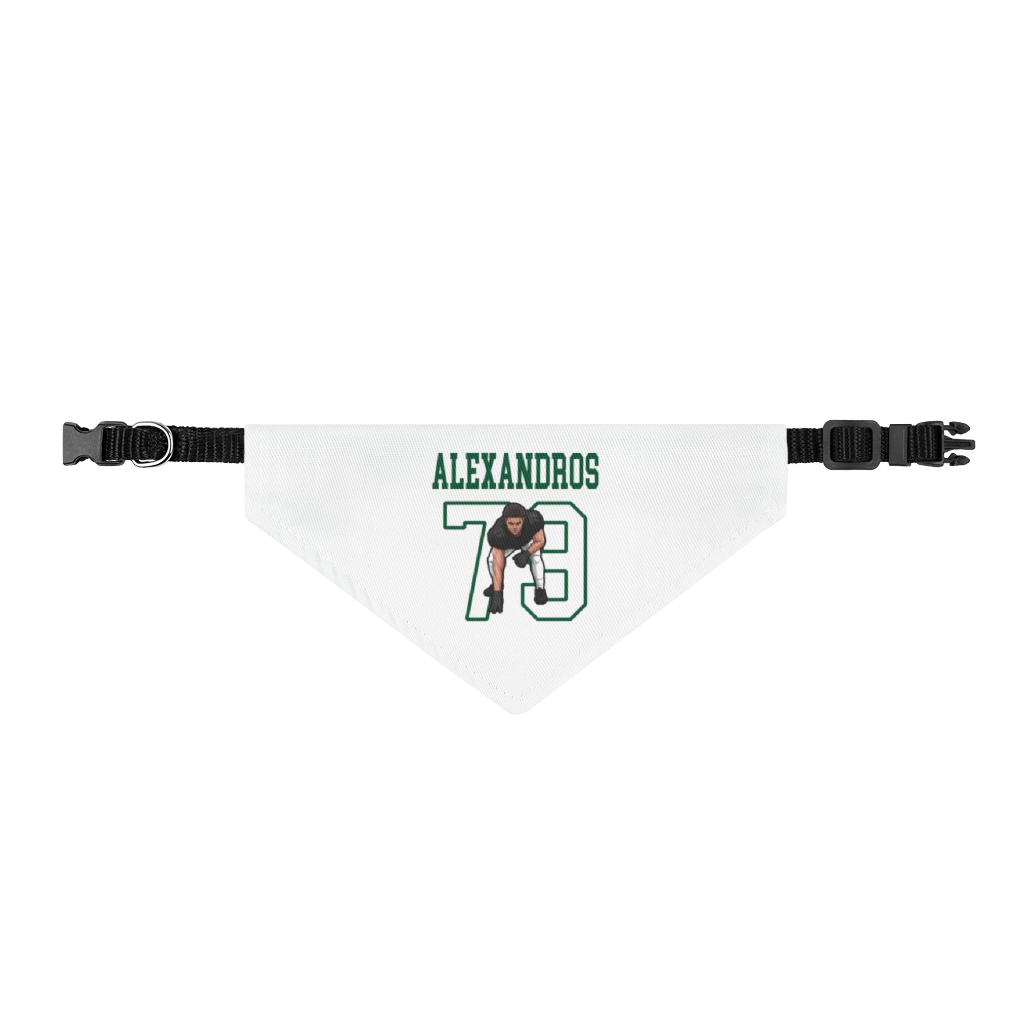Pet Bandana — character_shirsey in Classic