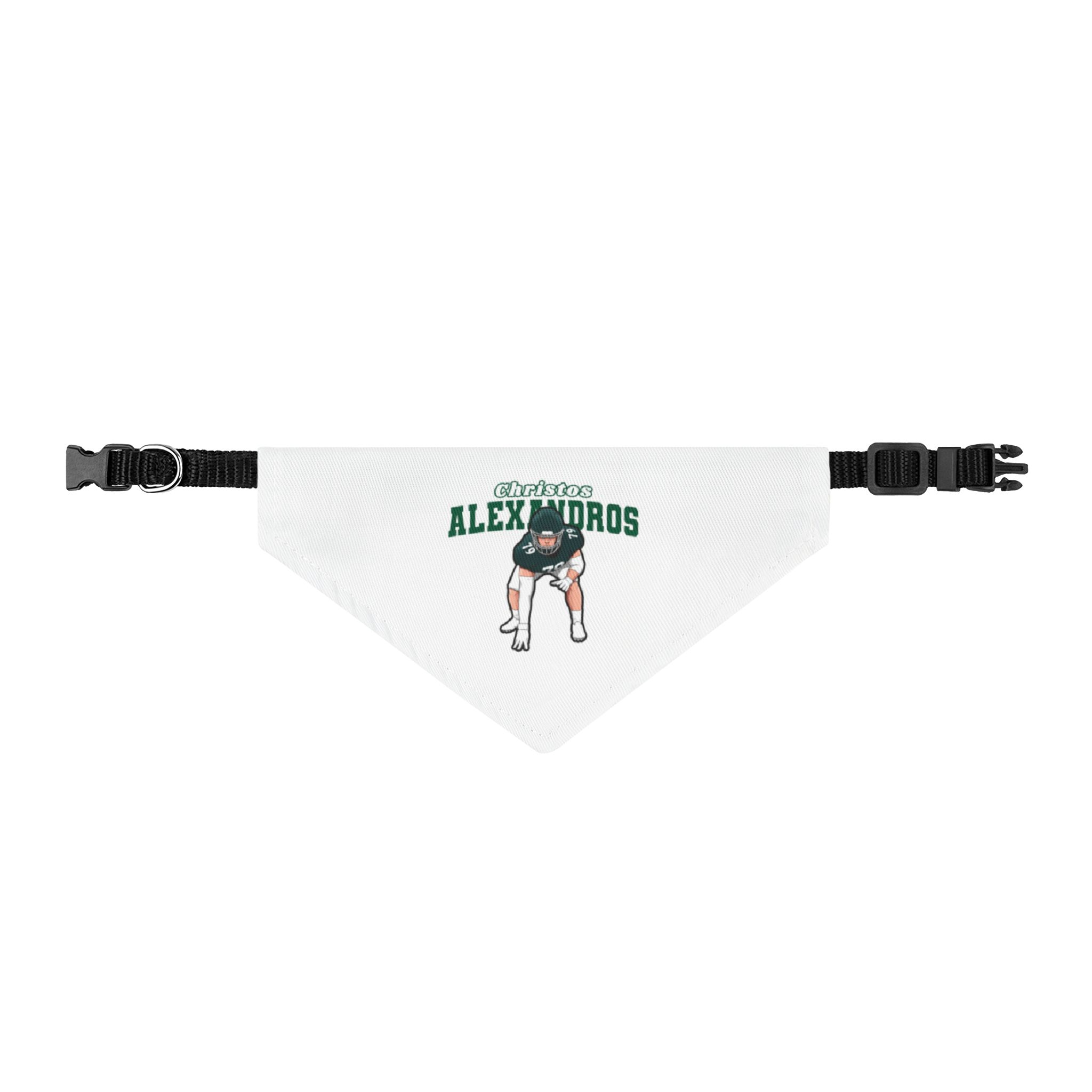 Pet Bandana — character_name_arch in Classic