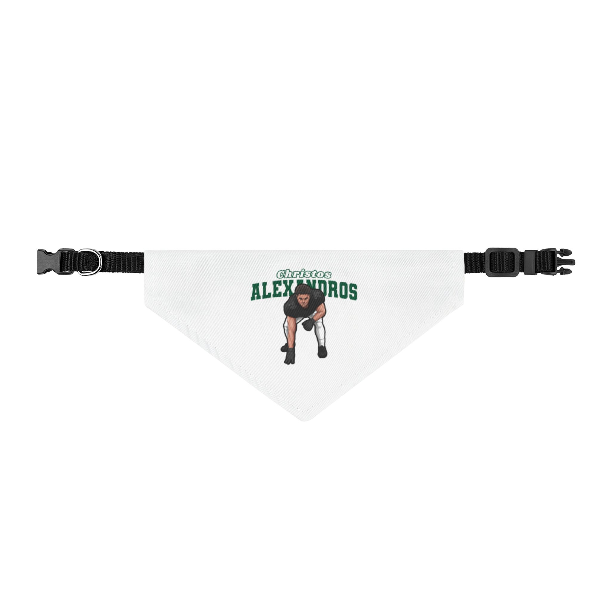 Pet Bandana — character_name_arch in Classic