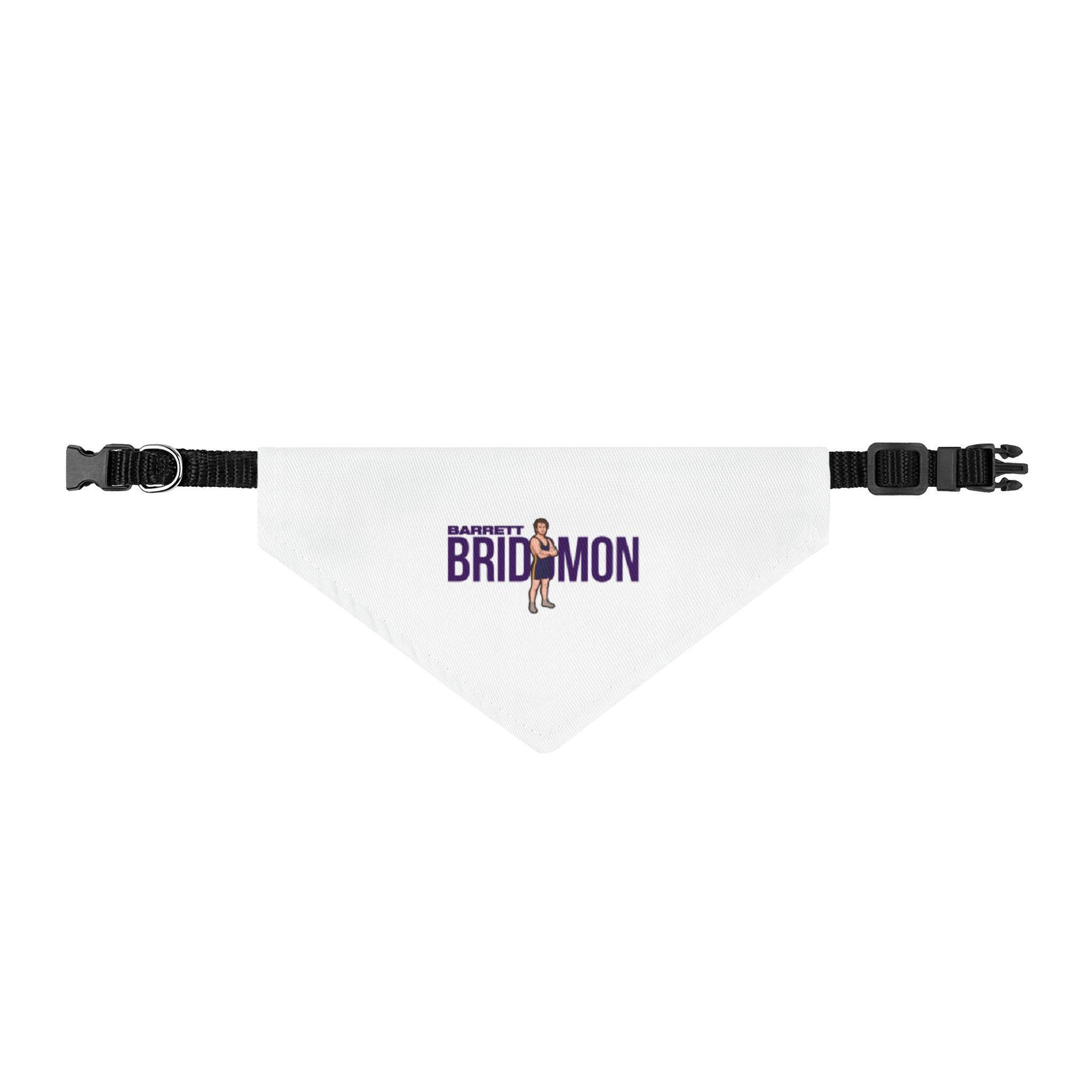 Pet Bandana — character_player_name in Classic
