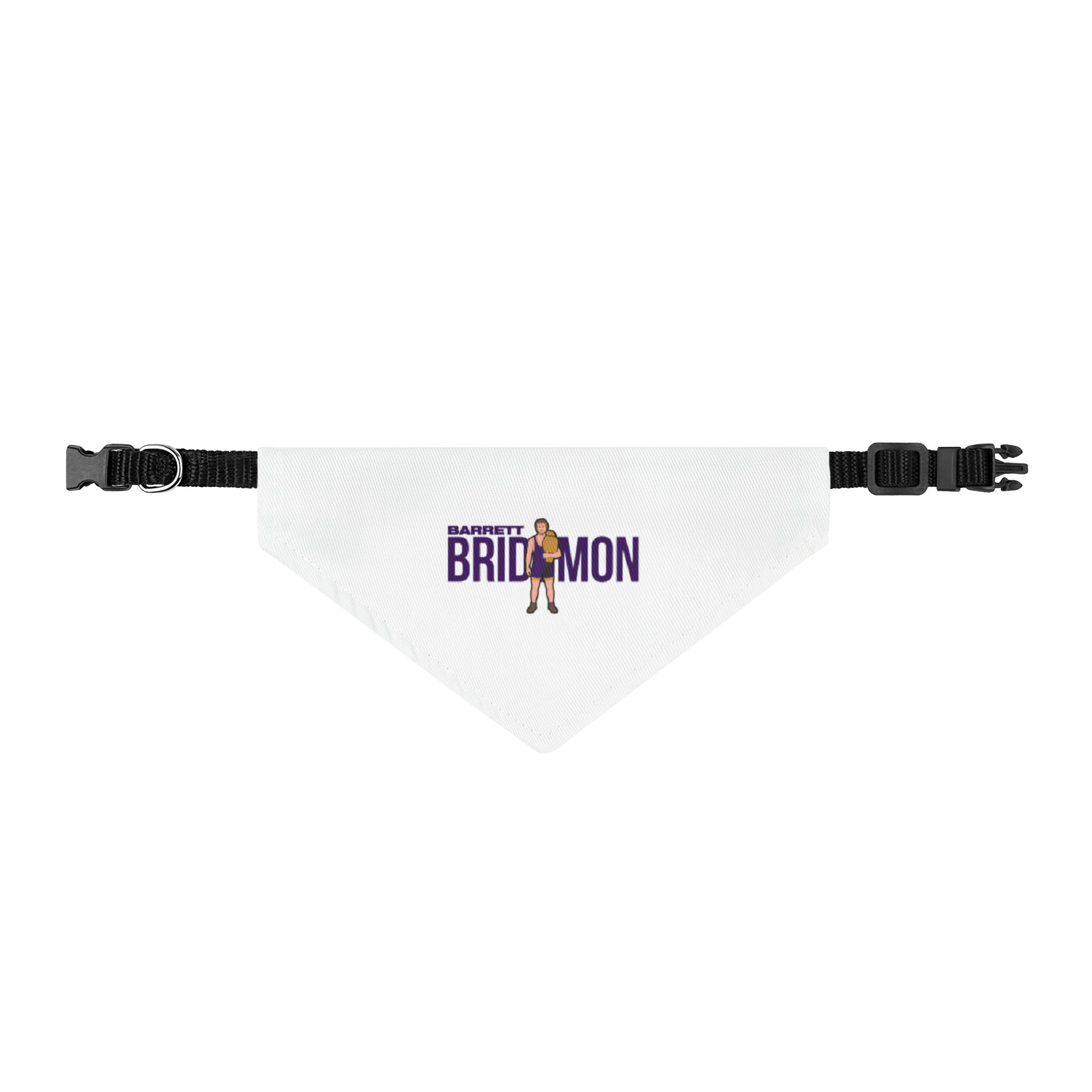 Pet Bandana — character_player_name in Classic