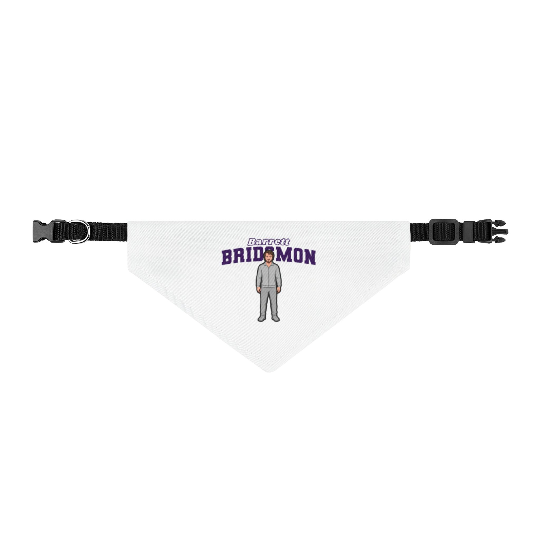 Pet Bandana — character_name_arch in Classic