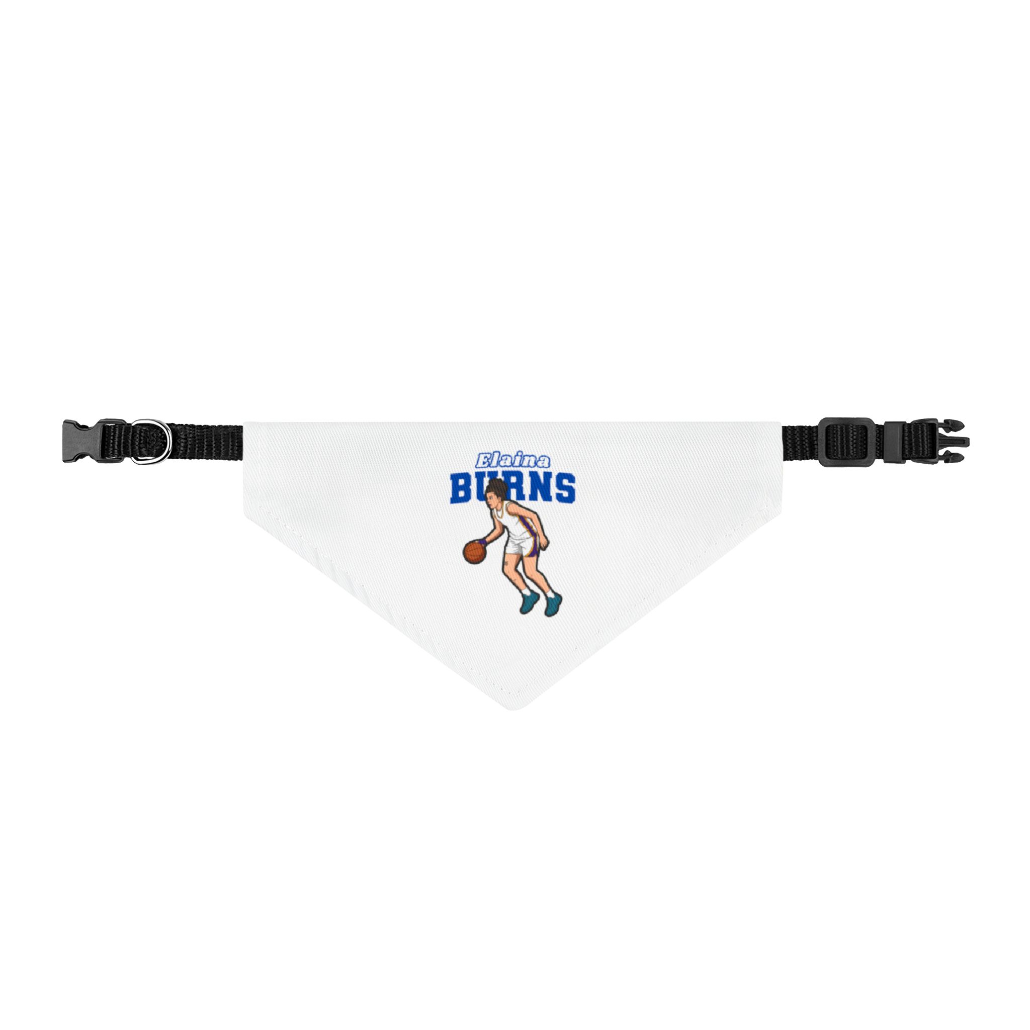 Pet Bandana — character_name_arch in Classic