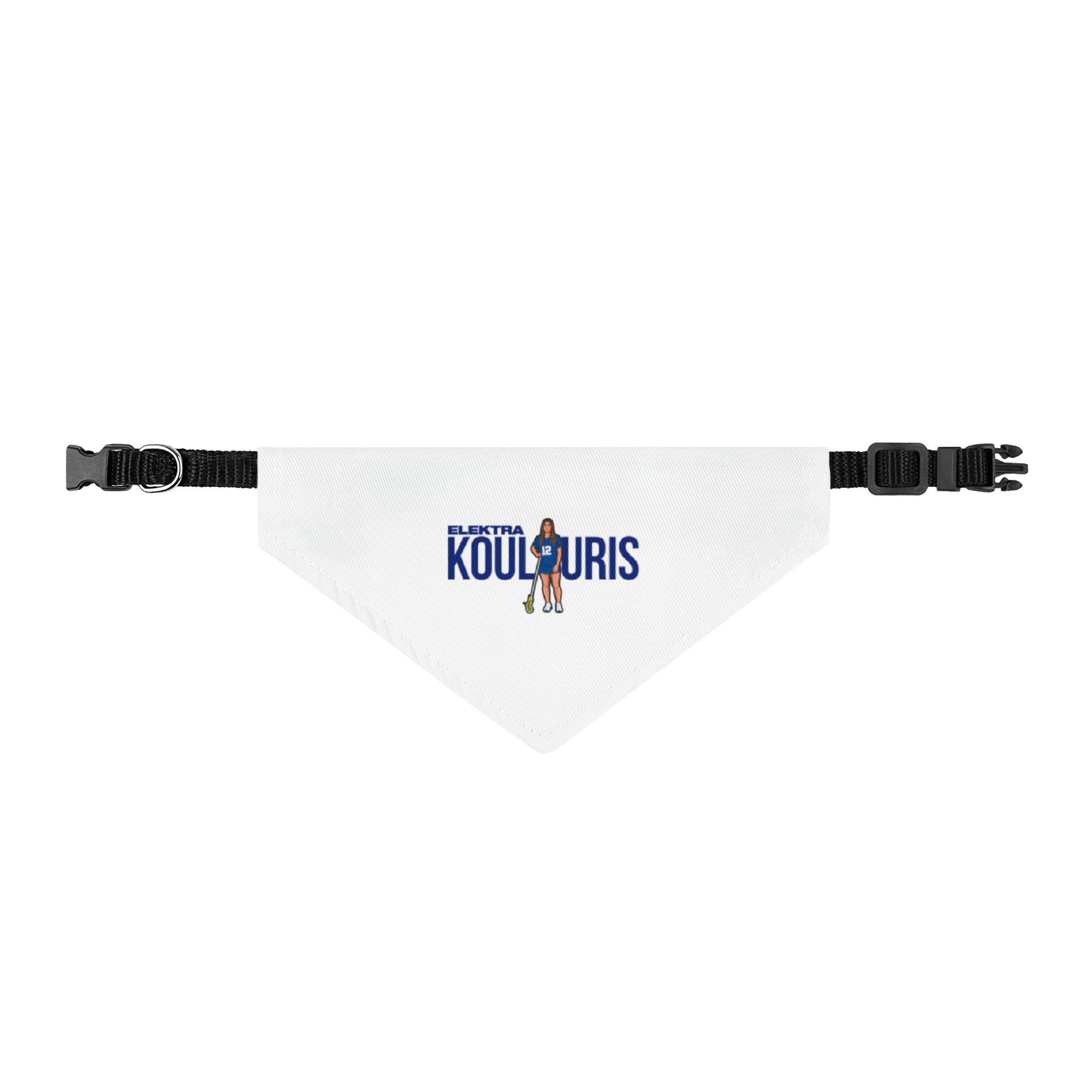 Pet Bandana — character_player_name in Classic