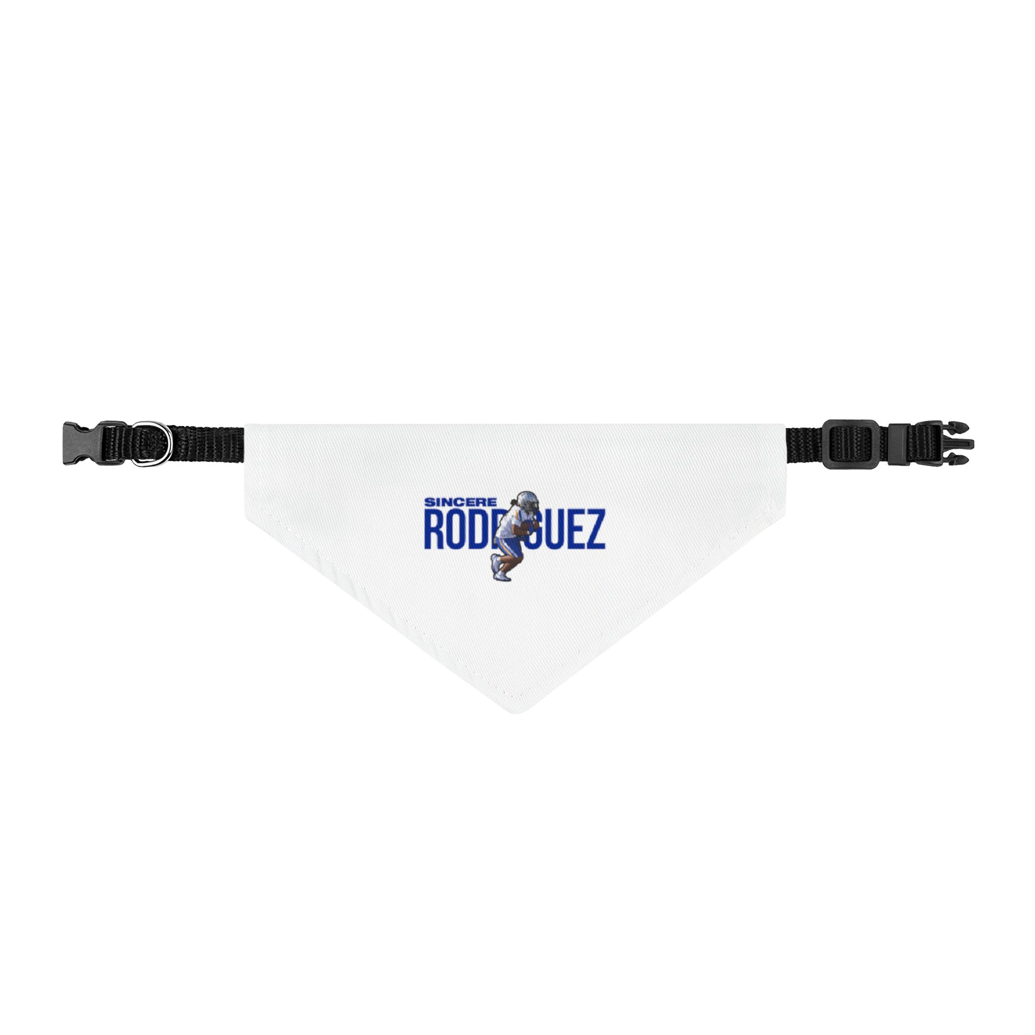 Pet Bandana — character_player_name in Classic