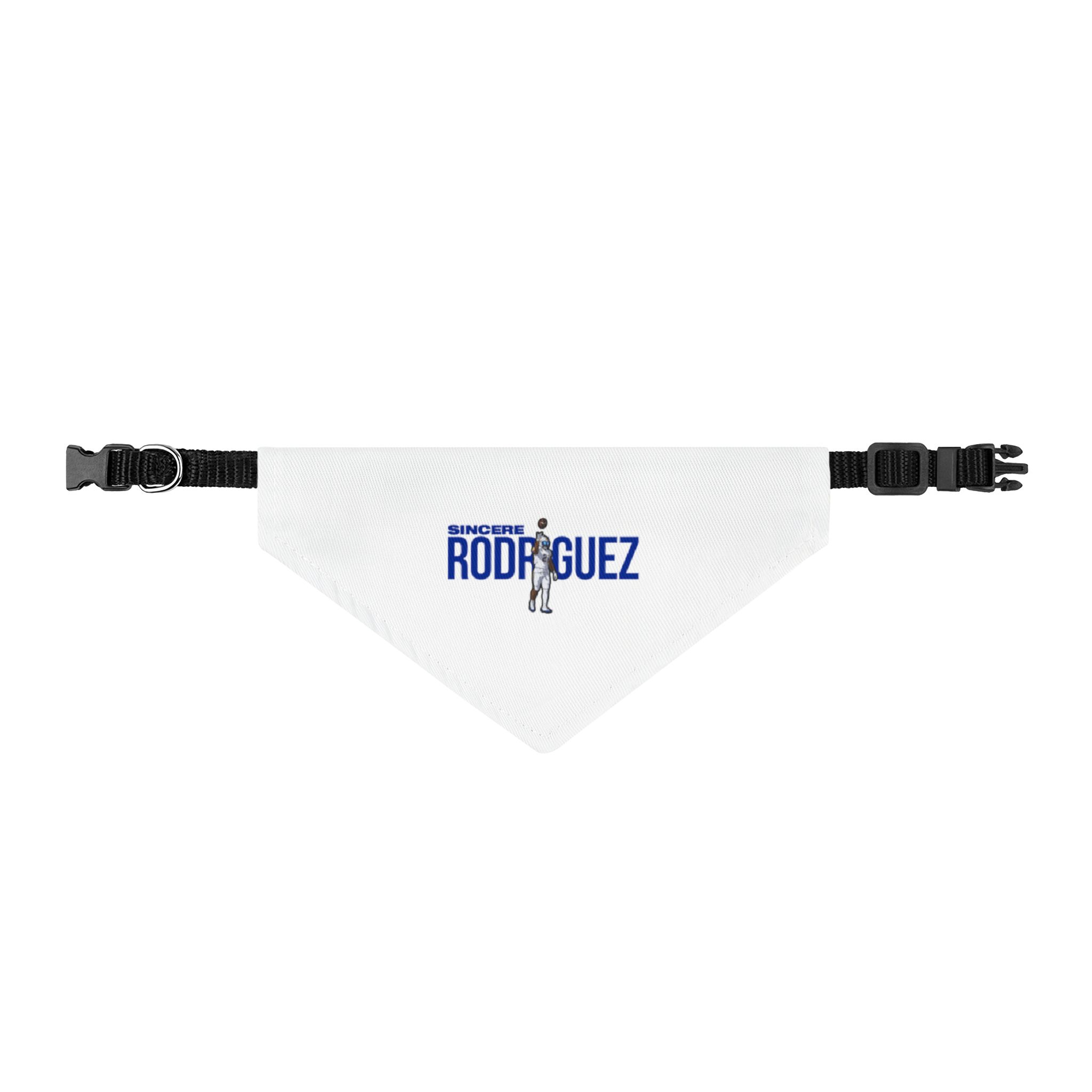 Pet Bandana — character_player_name in Classic