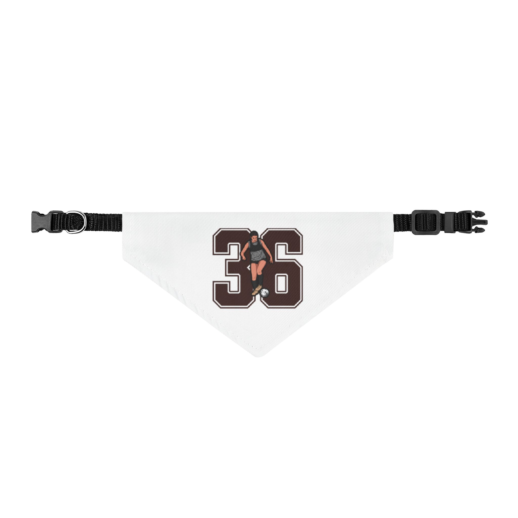 Pet Bandana — character_number in Classic