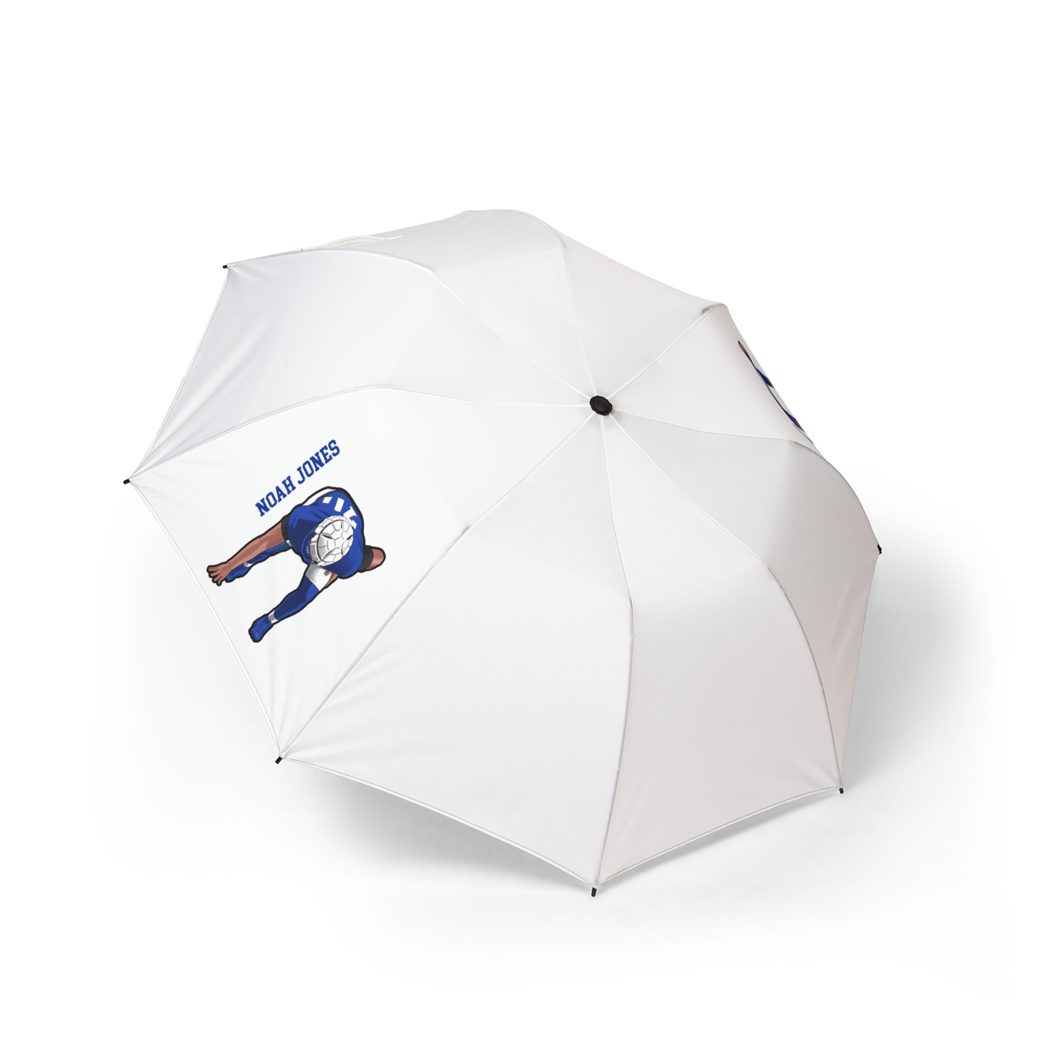 Foldable Umbrella — character_name_vertical in Classic