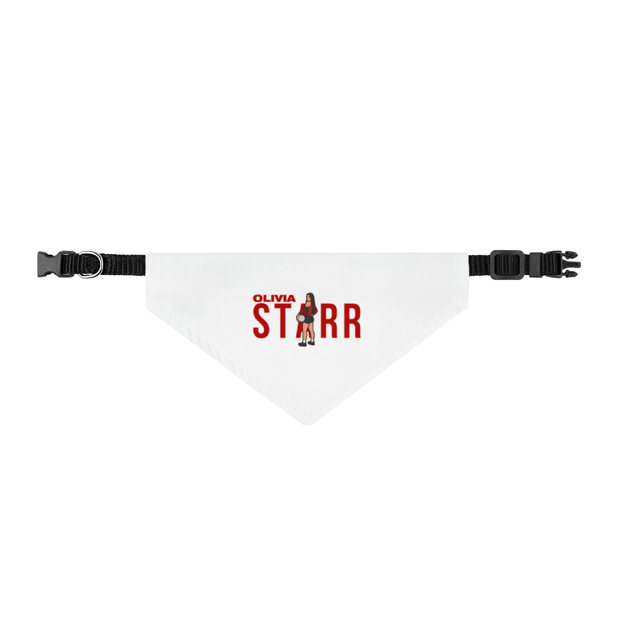 Pet Bandana — character_player_name in Classic