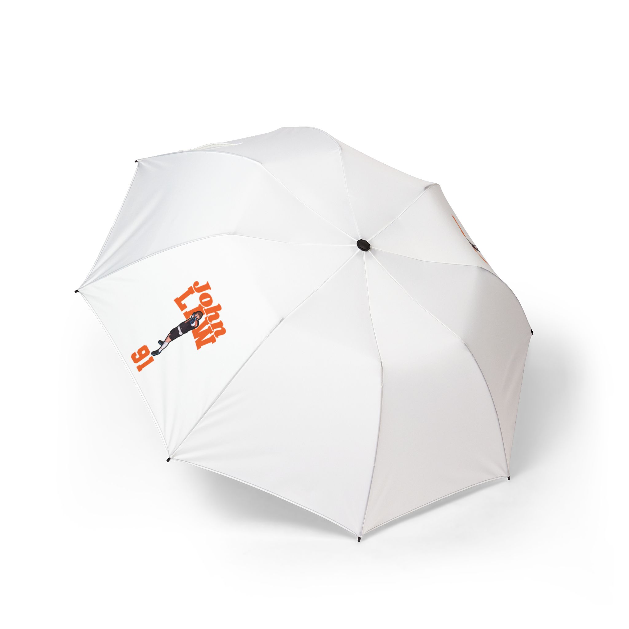 Foldable Umbrella — character_signature_arch in Classic