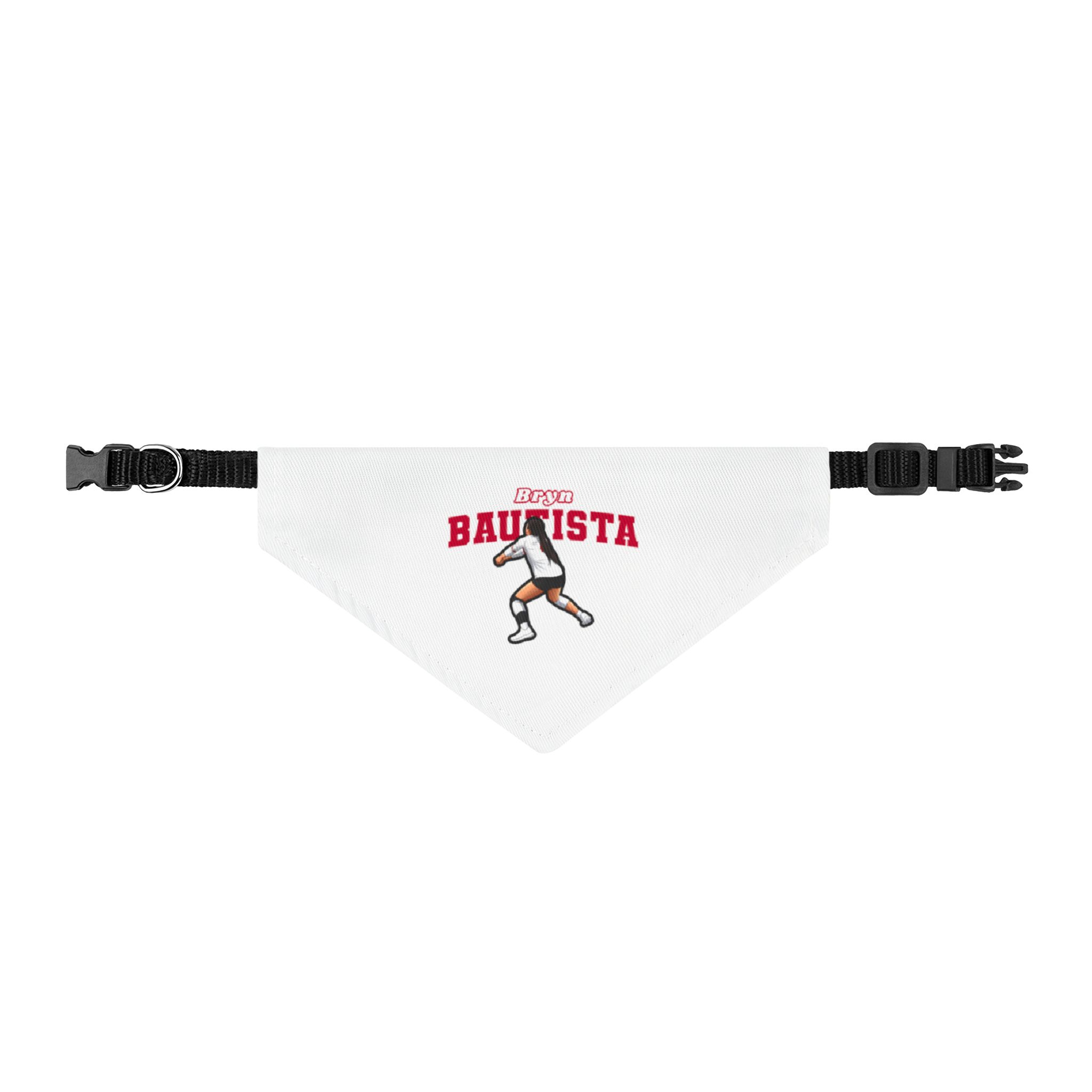 Pet Bandana — character_name_arch in Classic