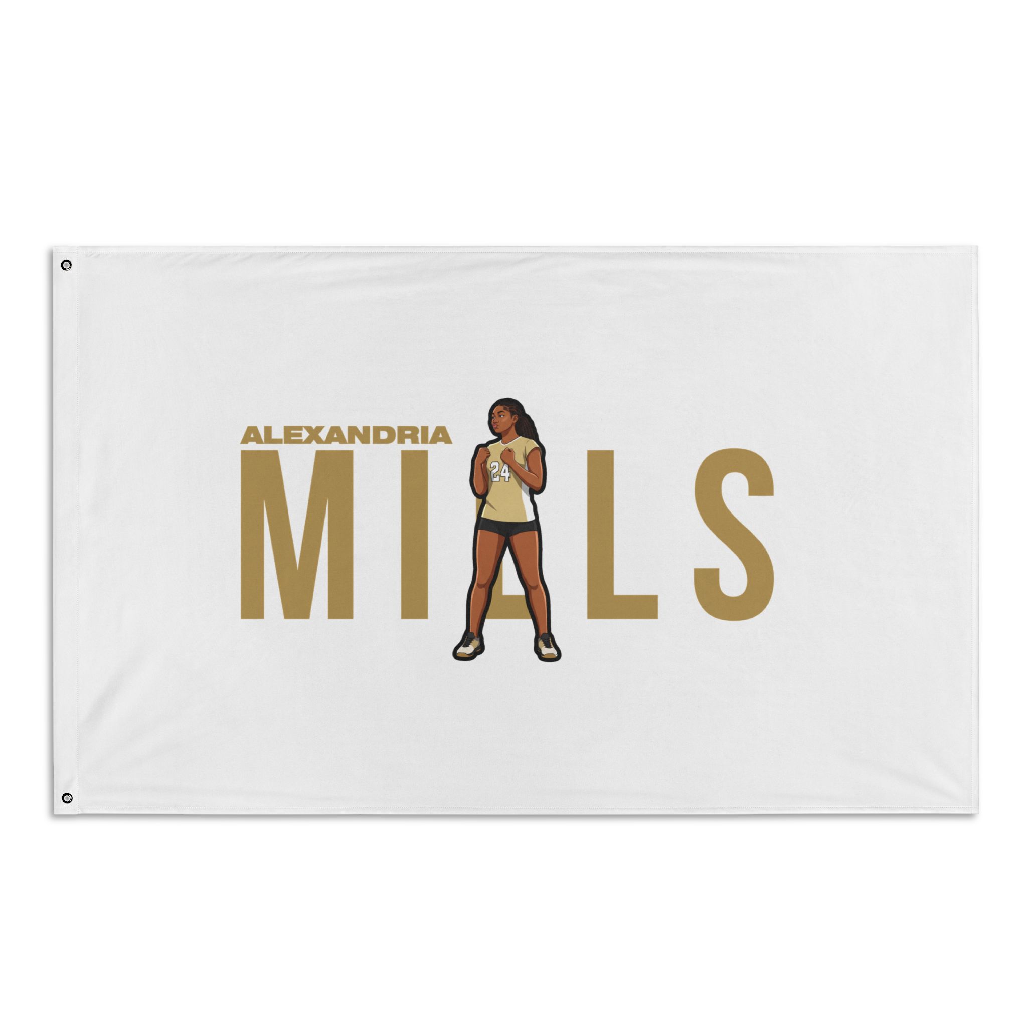 Flag (35 × 56 in)