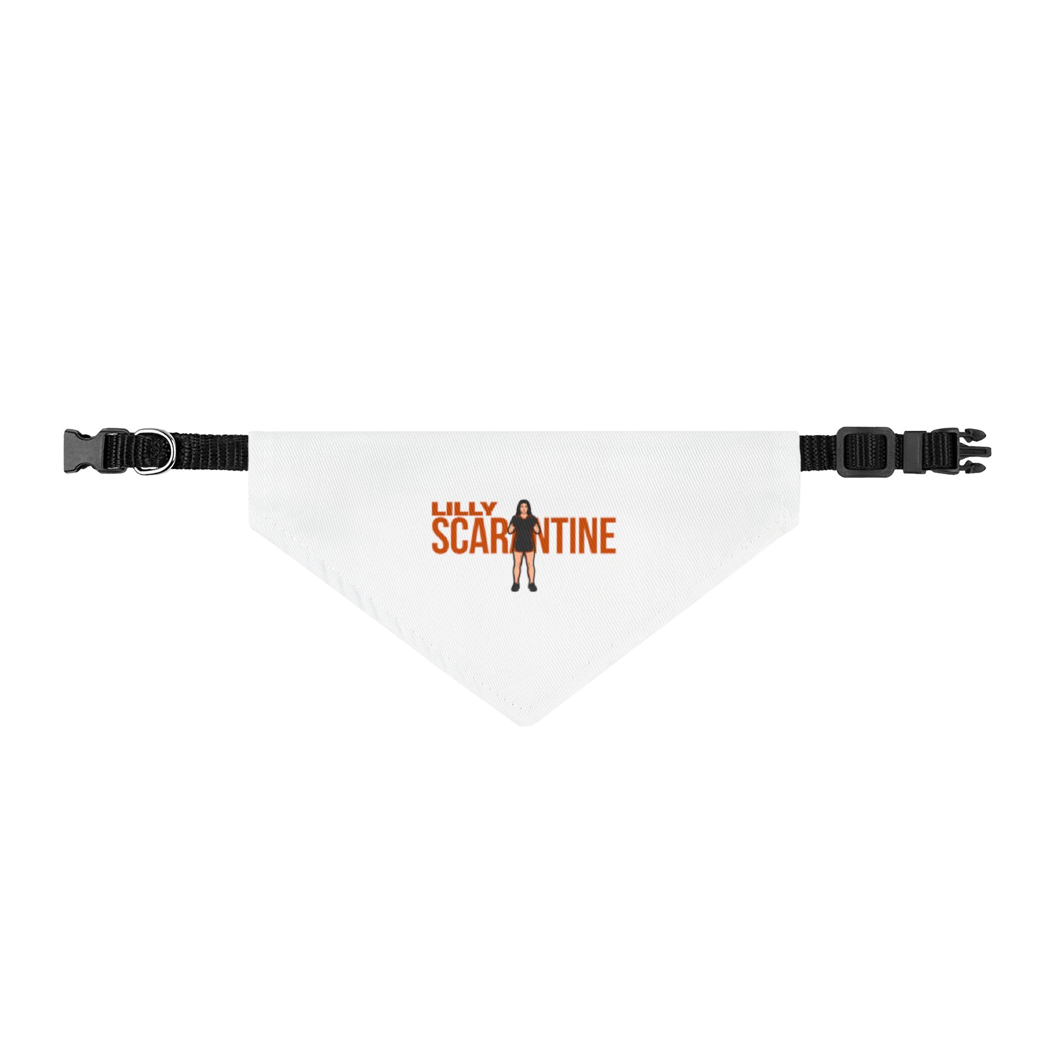Pet Bandana — character_player_name in Classic