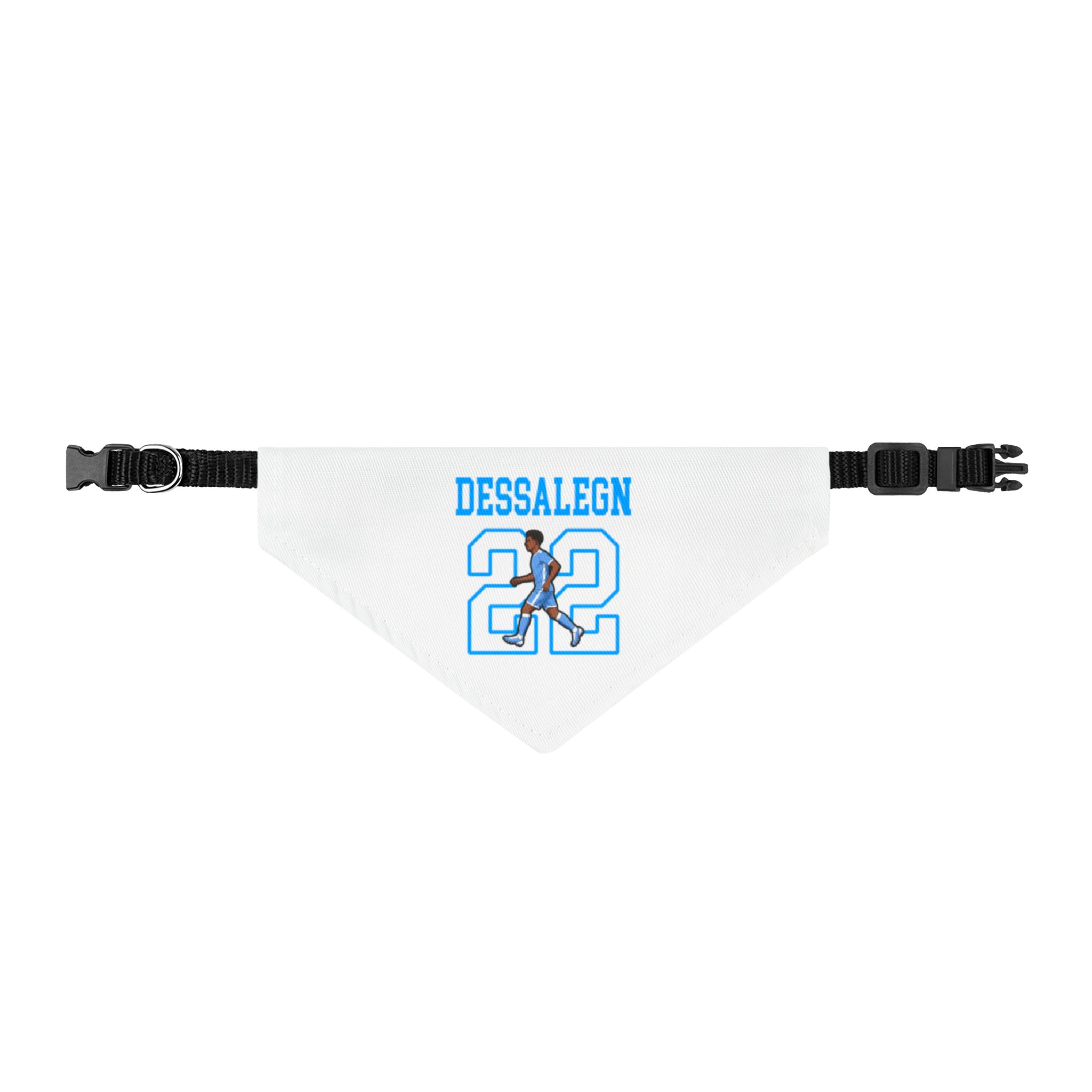 Pet Bandana — character_shirsey in Classic