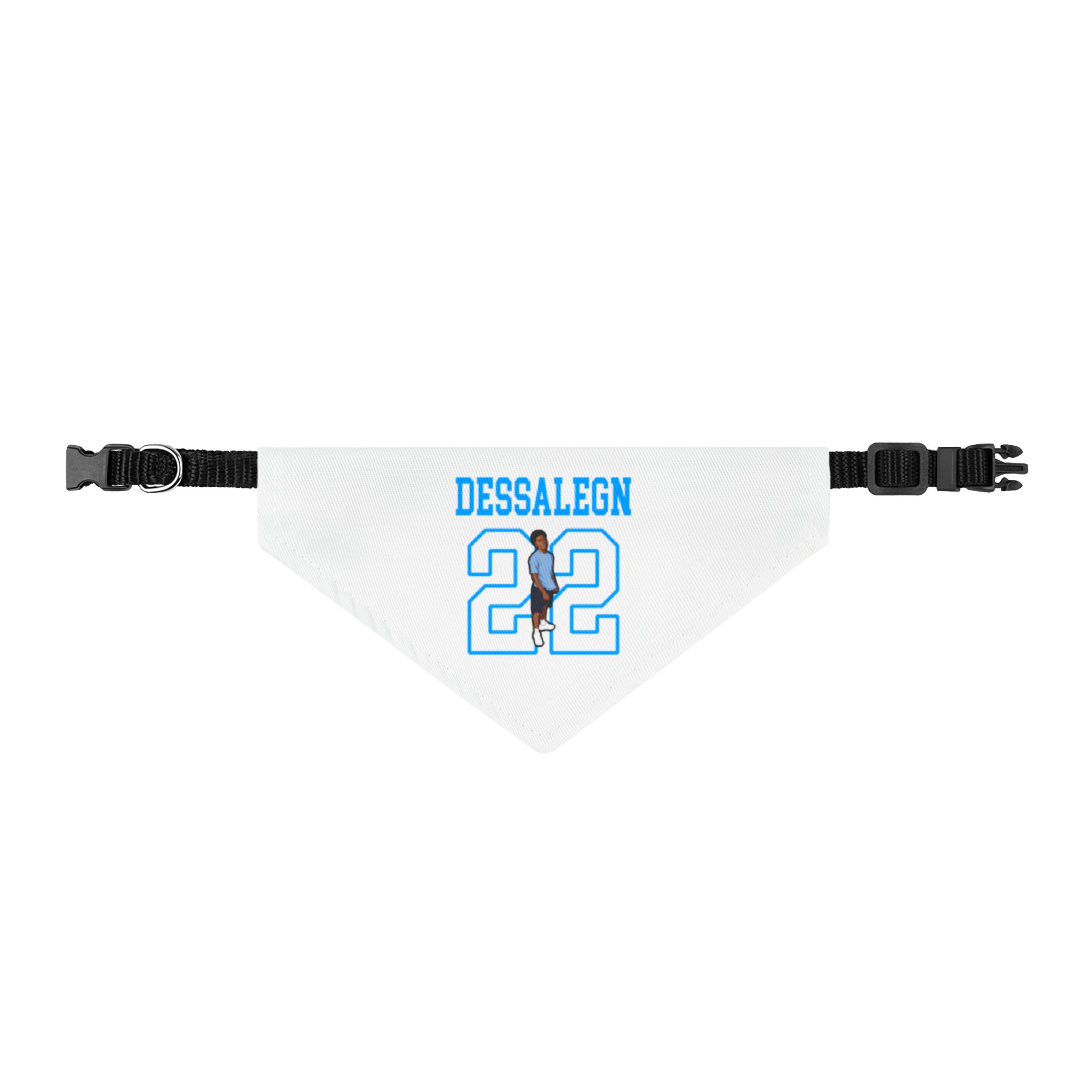 Pet Bandana — character_shirsey in Classic