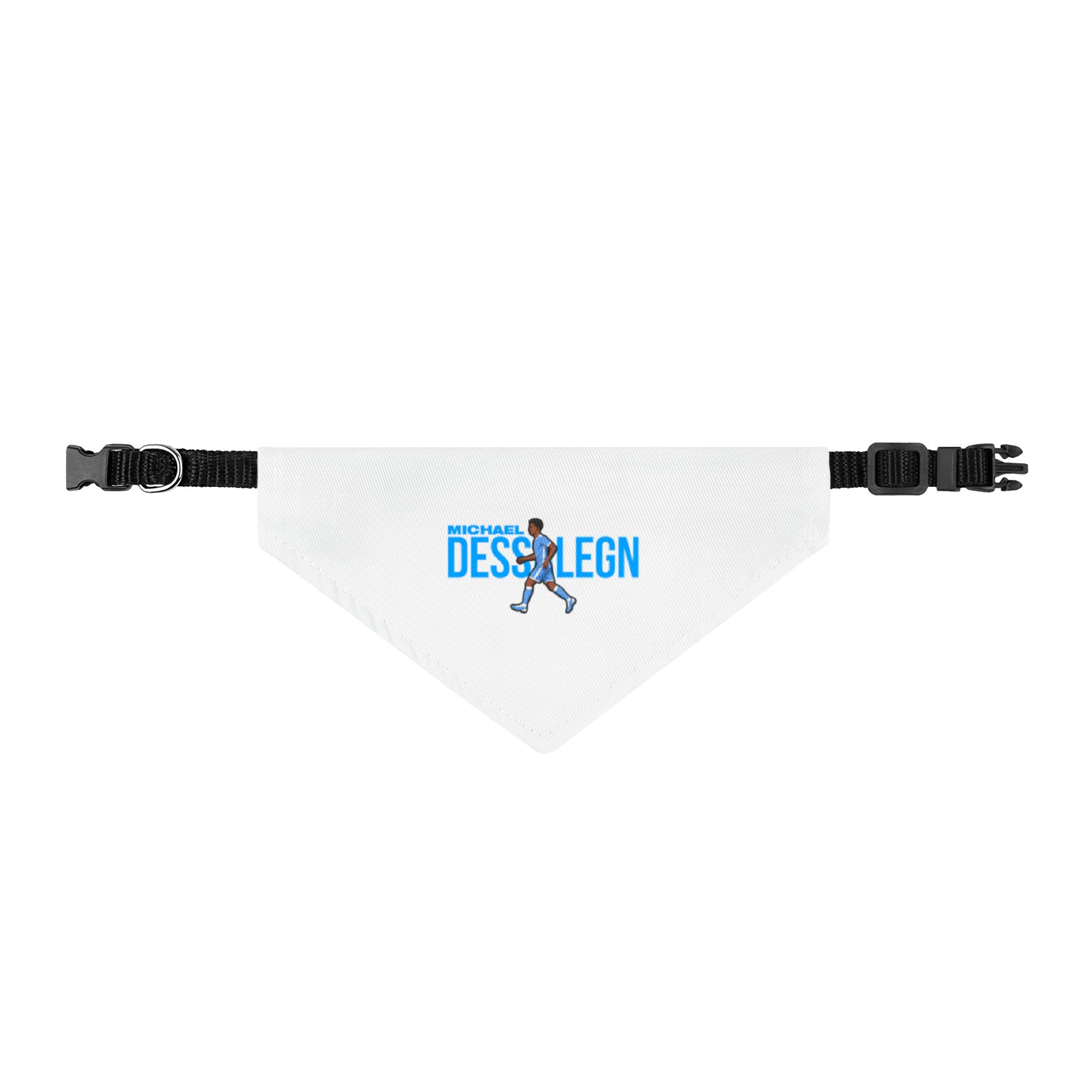 Pet Bandana — character_player_name in Classic