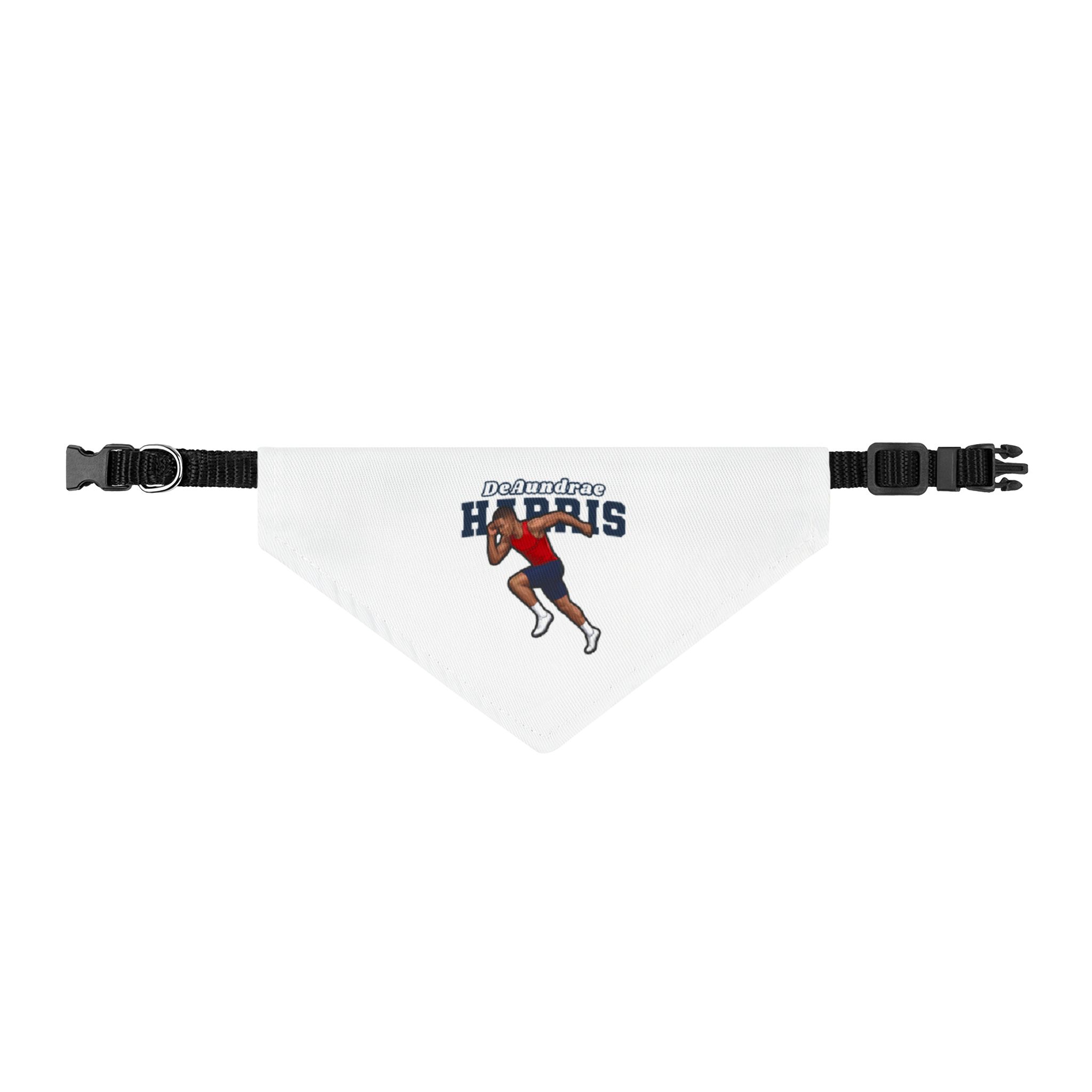 Pet Bandana — character_name_arch in Classic