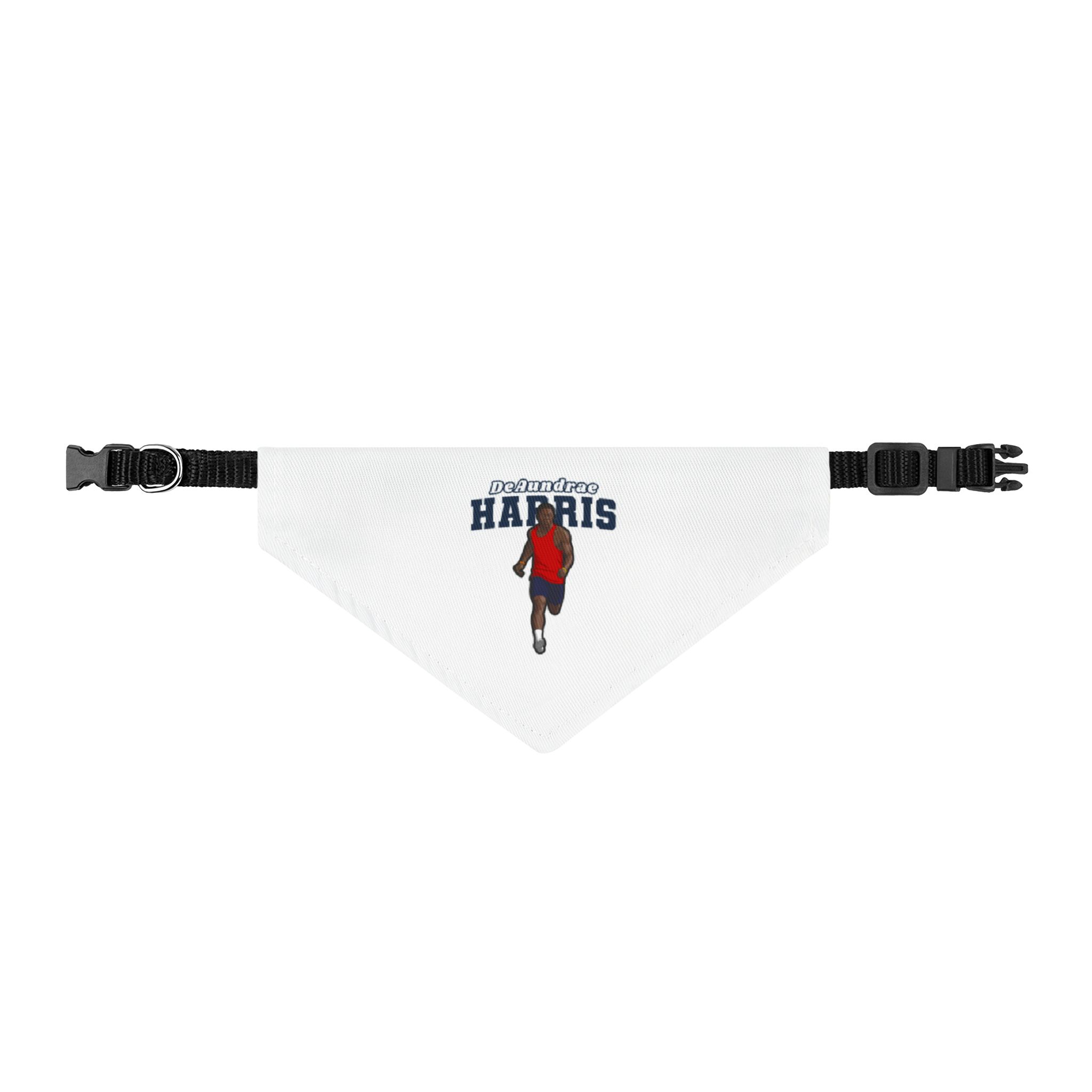 Pet Bandana — character_name_arch in Classic