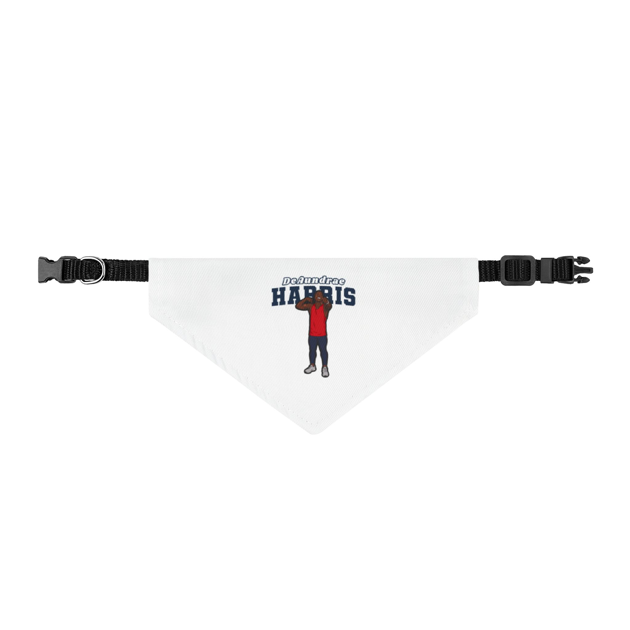 Pet Bandana — character_name_arch in Classic