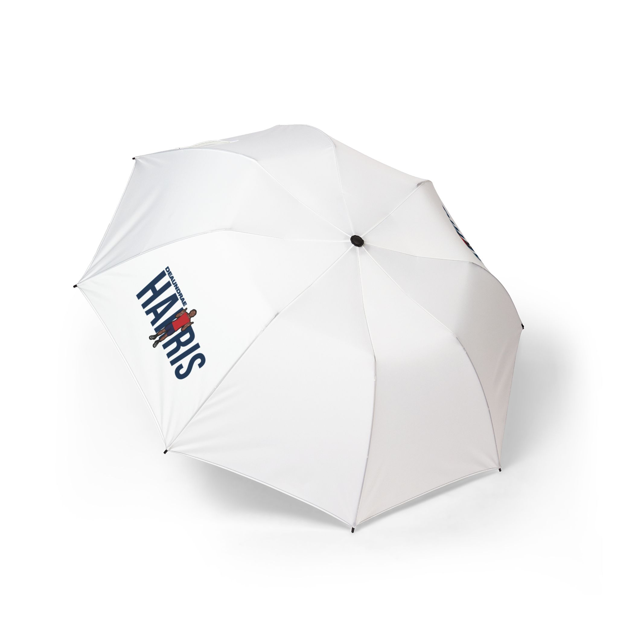 Foldable Umbrella — character_player_name in Classic