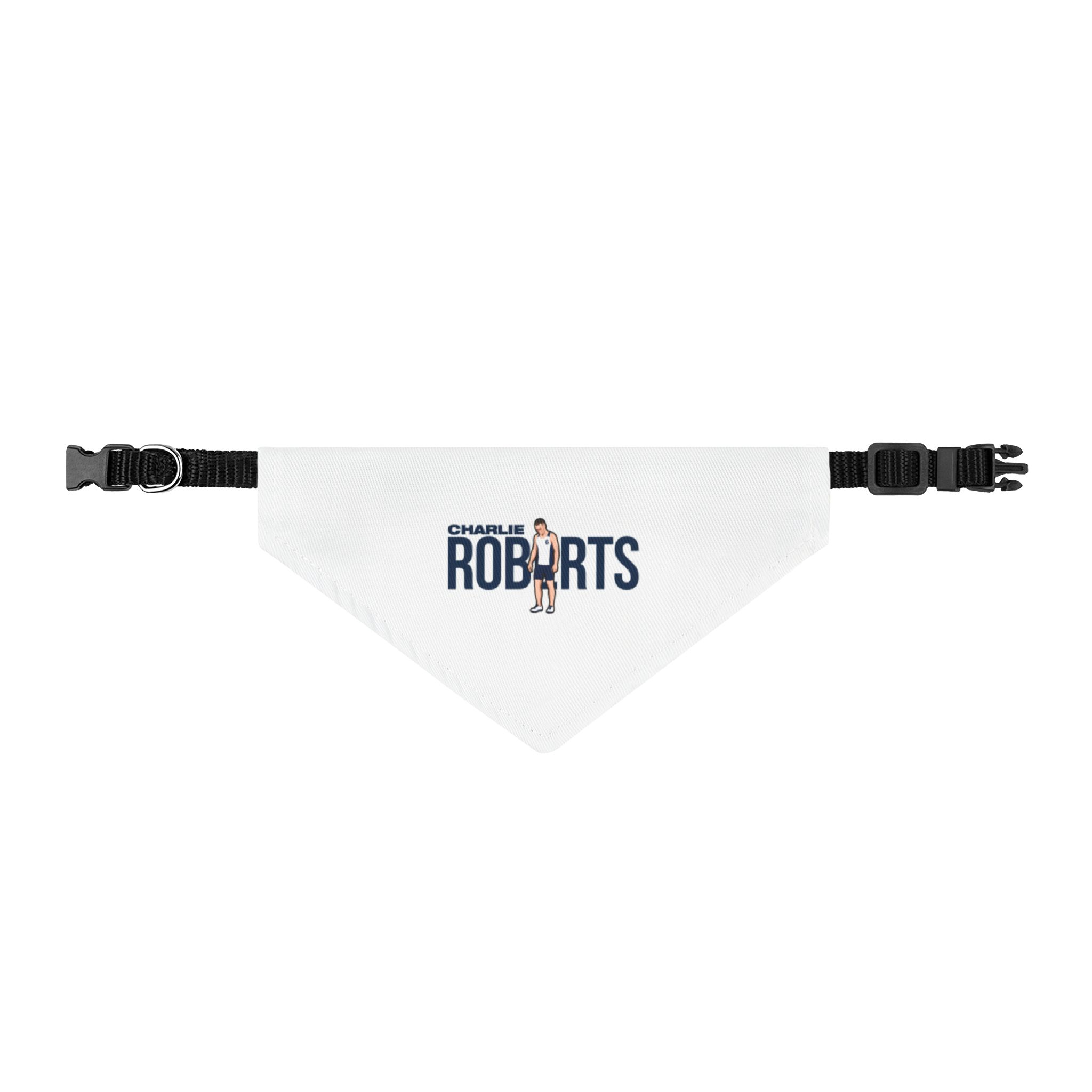 Pet Bandana — character_player_name in Classic