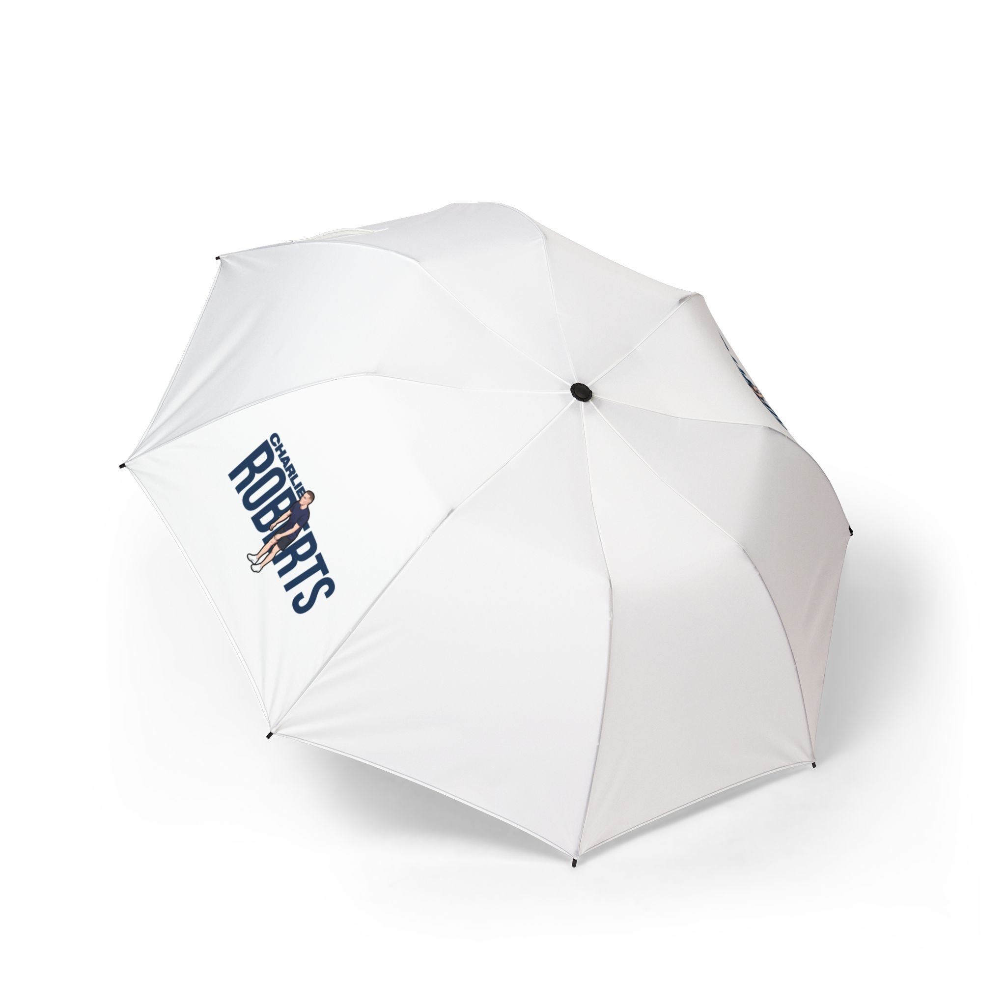 Foldable Umbrella — character_player_name in Classic
