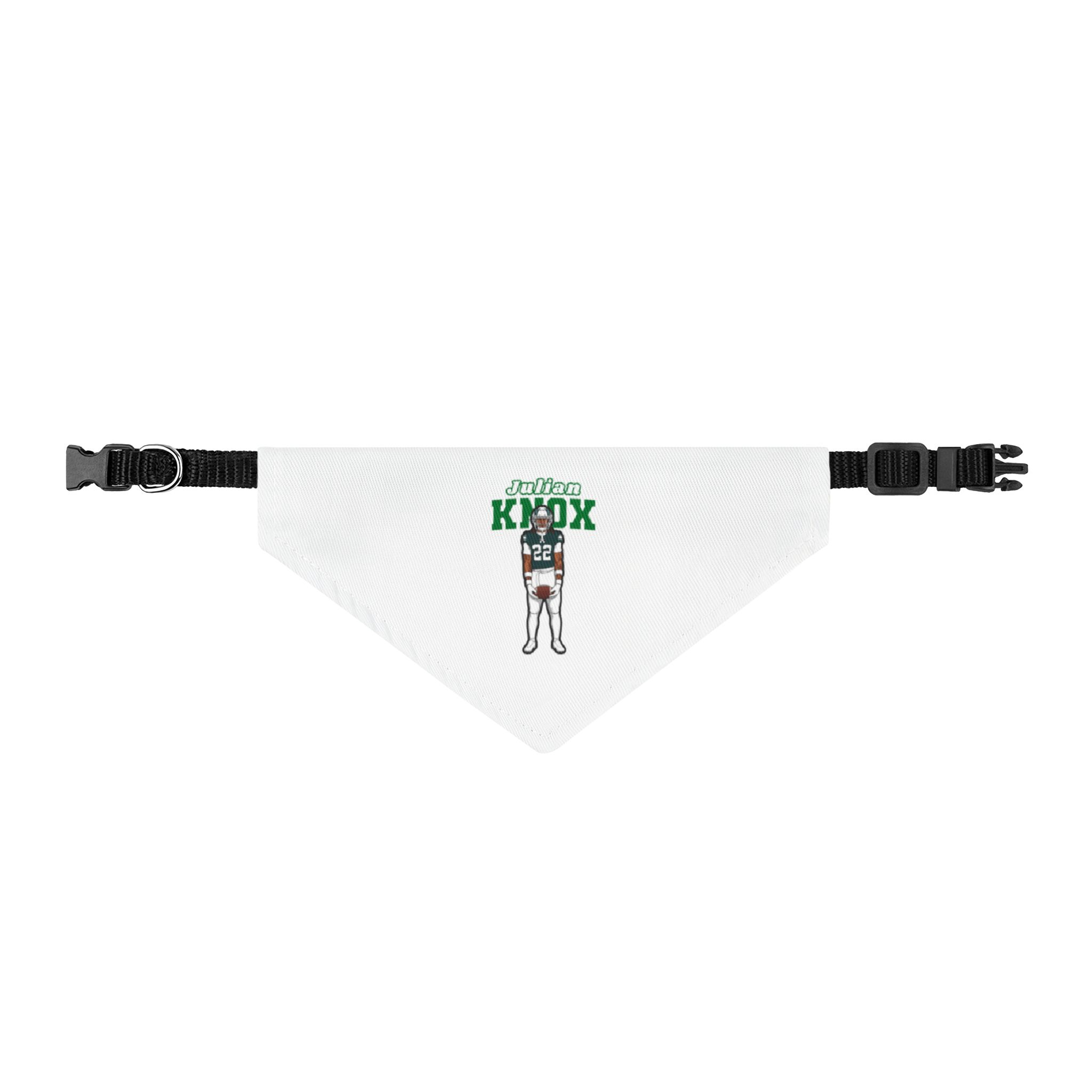 Pet Bandana — character_name_arch in Classic