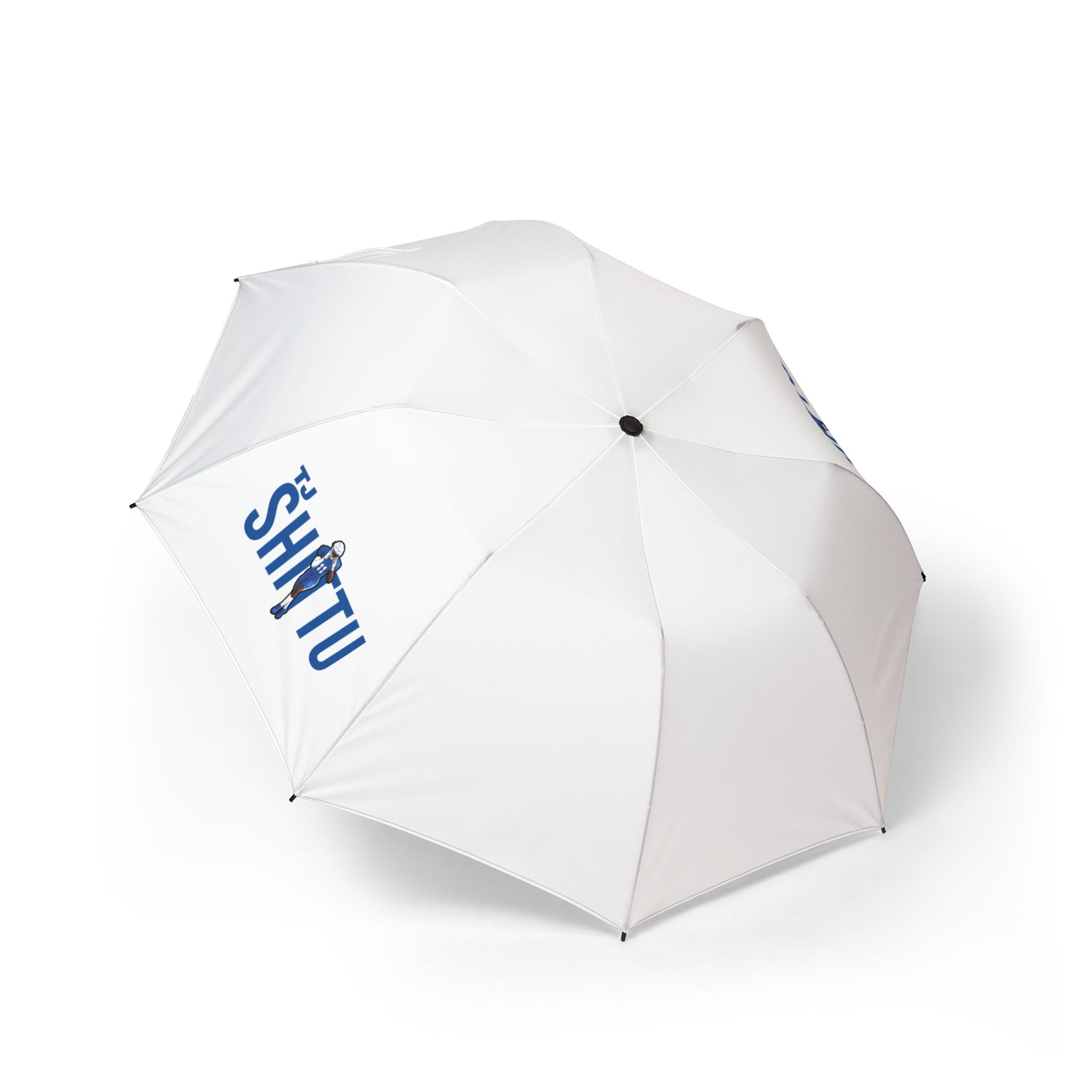 Foldable Umbrella — character_player_name in Classic