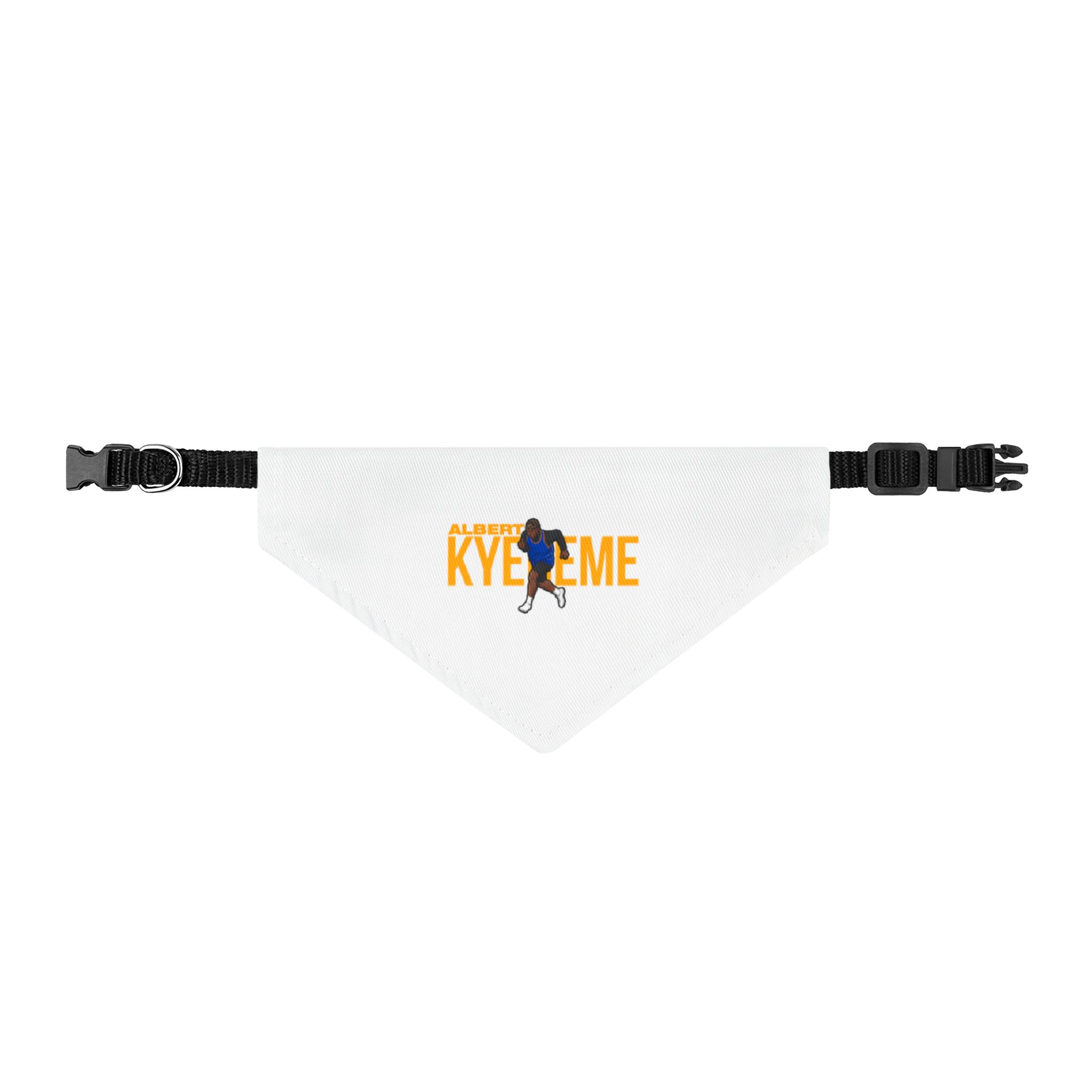 Pet Bandana — character_player_name in Classic