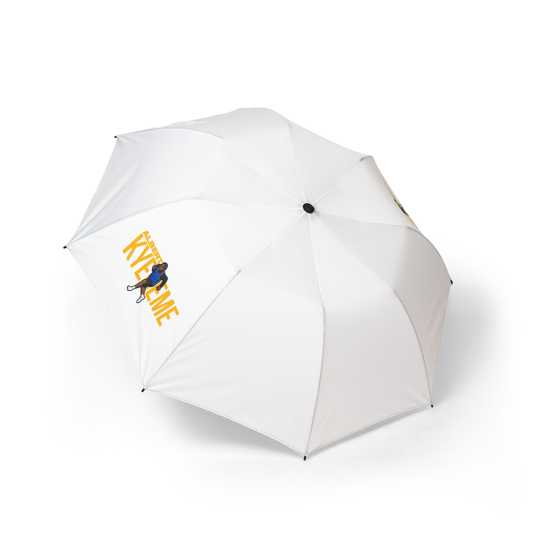 Foldable Umbrella — character_player_name in Classic