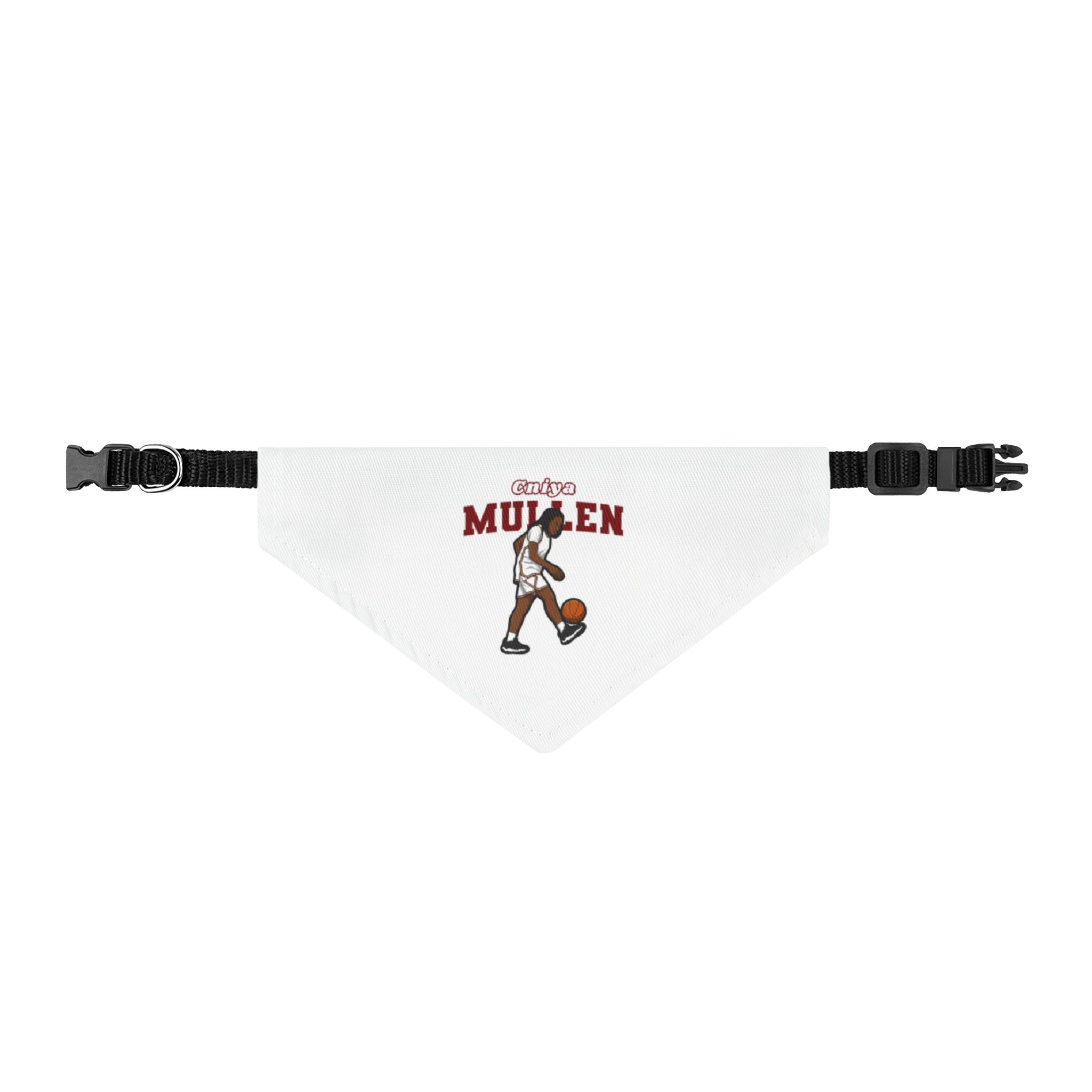Pet Bandana — character_name_arch in Classic