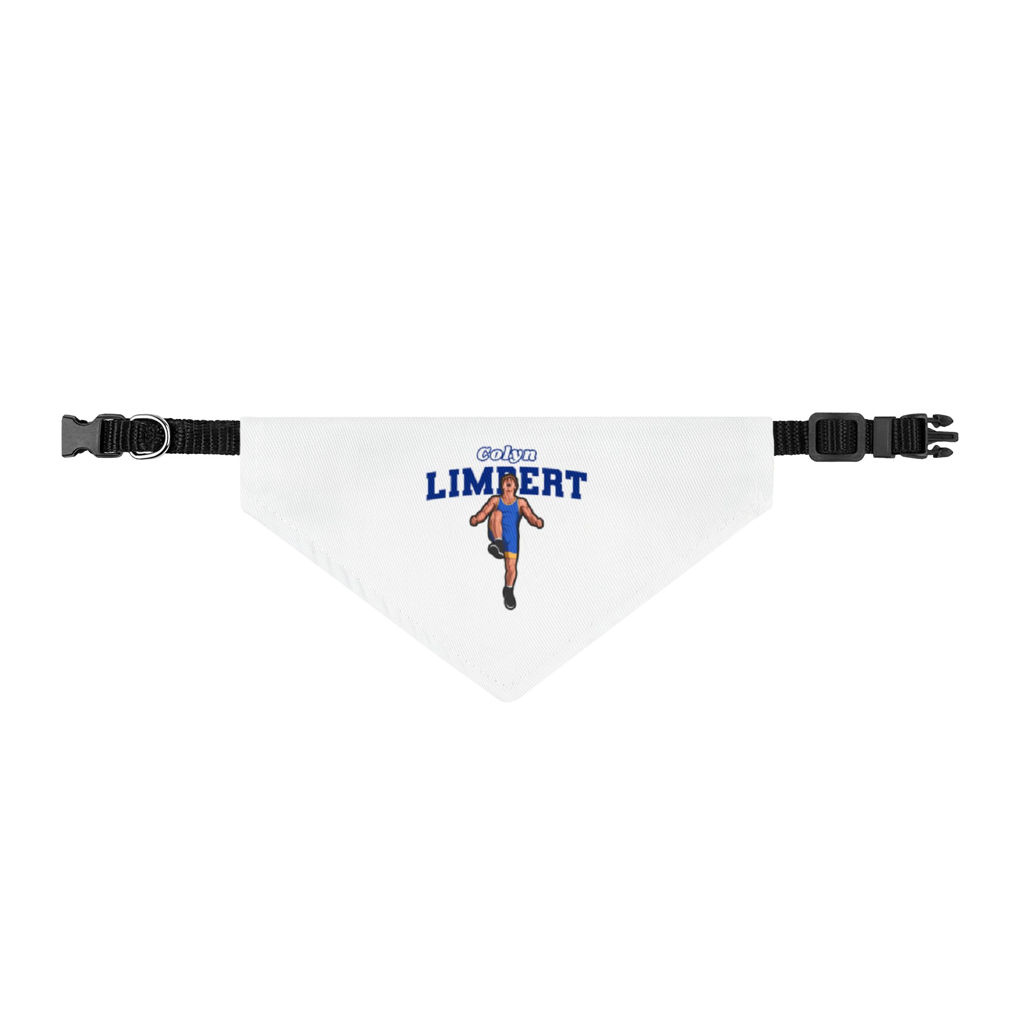 Pet Bandana — character_name_arch in Classic