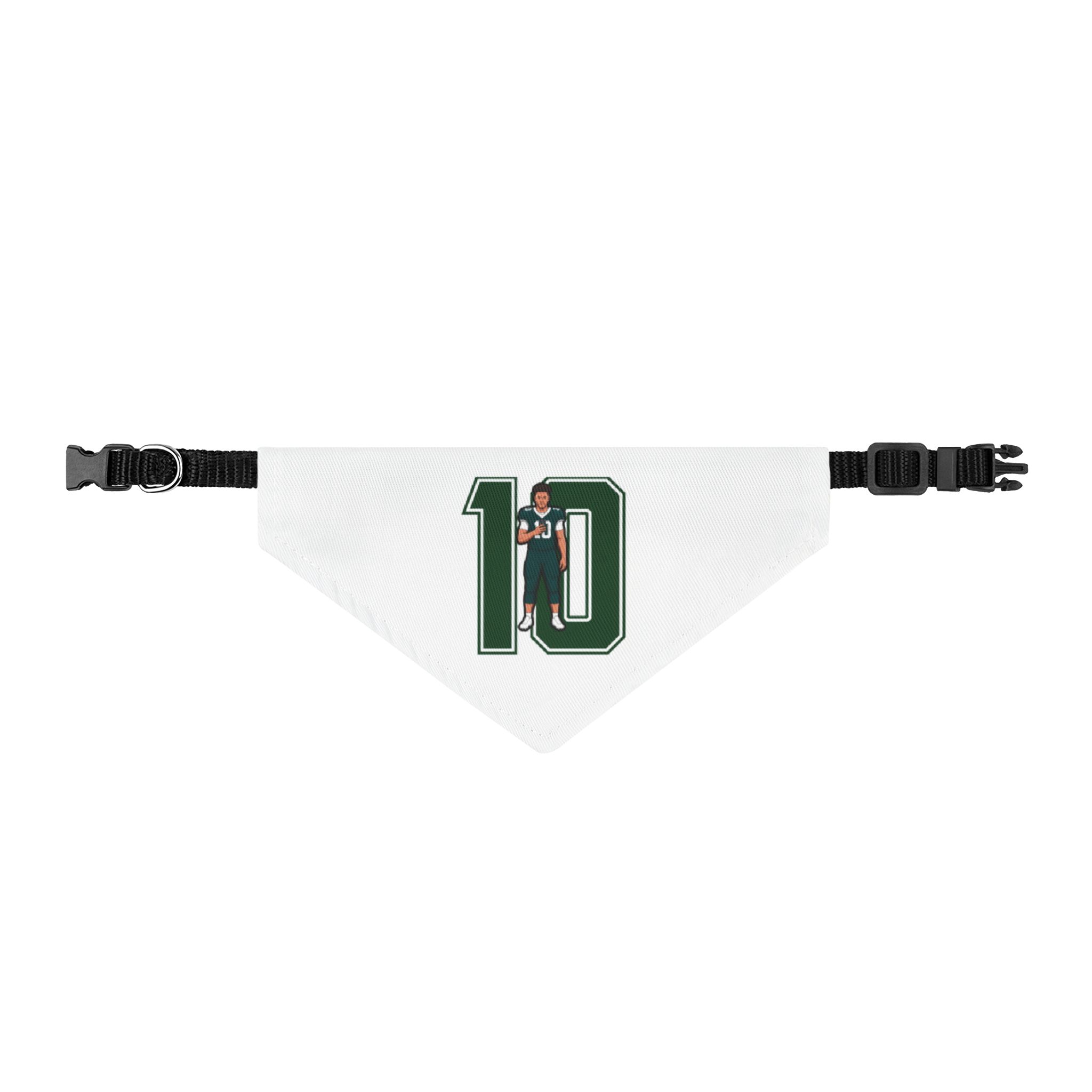 Pet Bandana — character_number in Classic