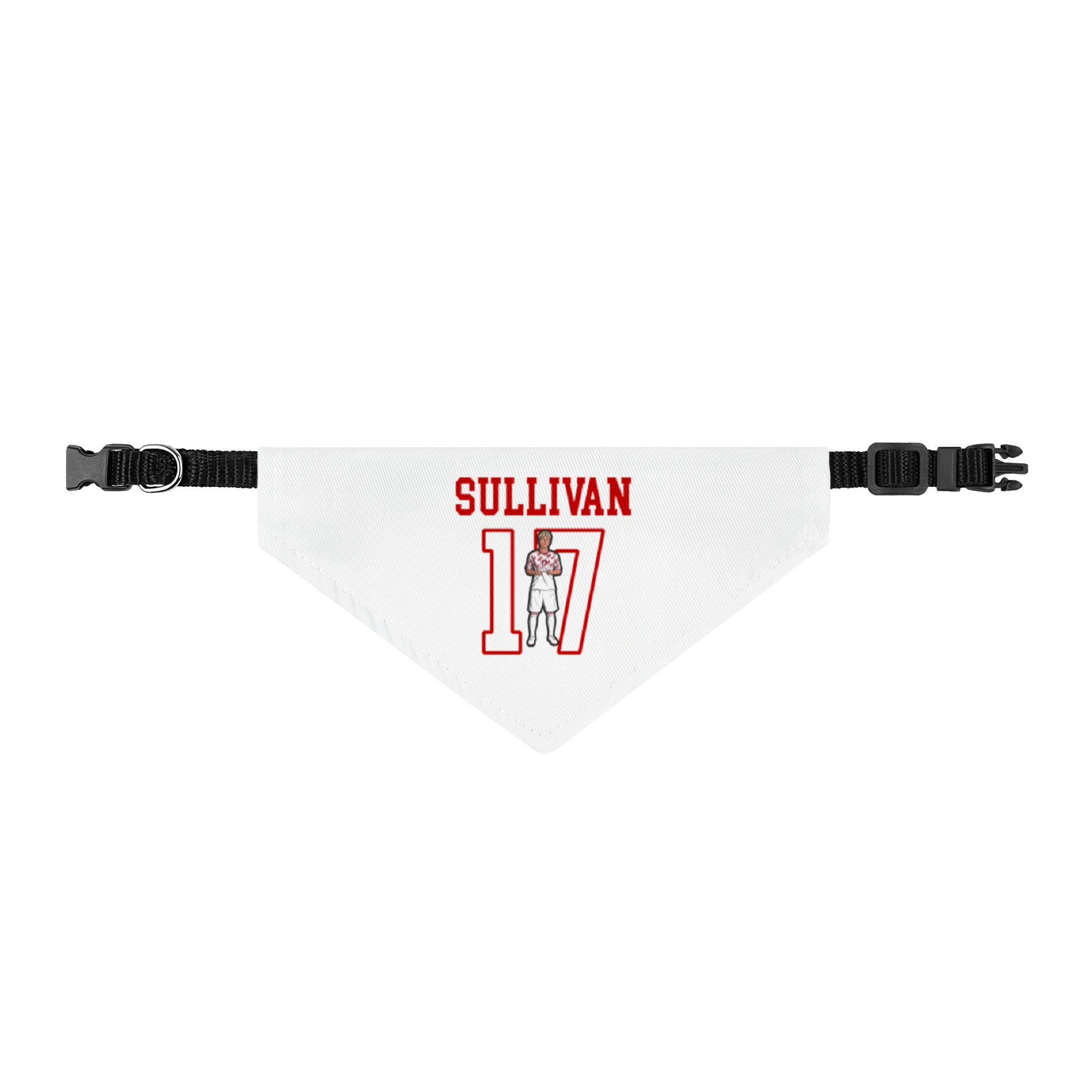 Pet Bandana — character_shirsey in Classic
