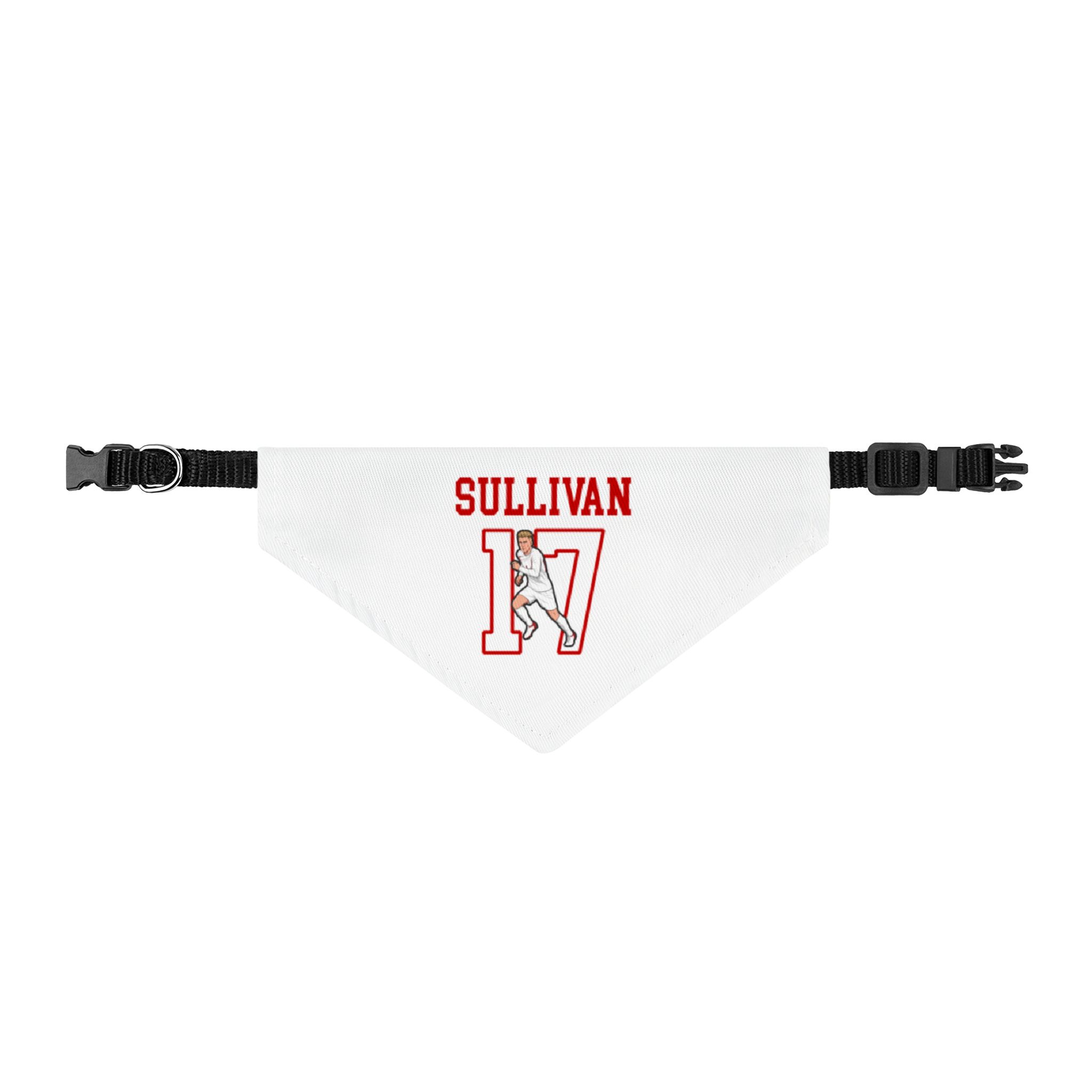 Pet Bandana — character_shirsey in Classic