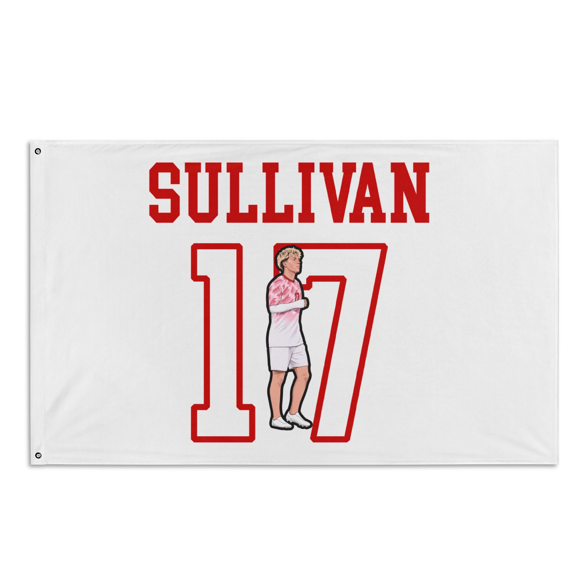 Flag (35 × 56 in) — character_shirsey in Classic
