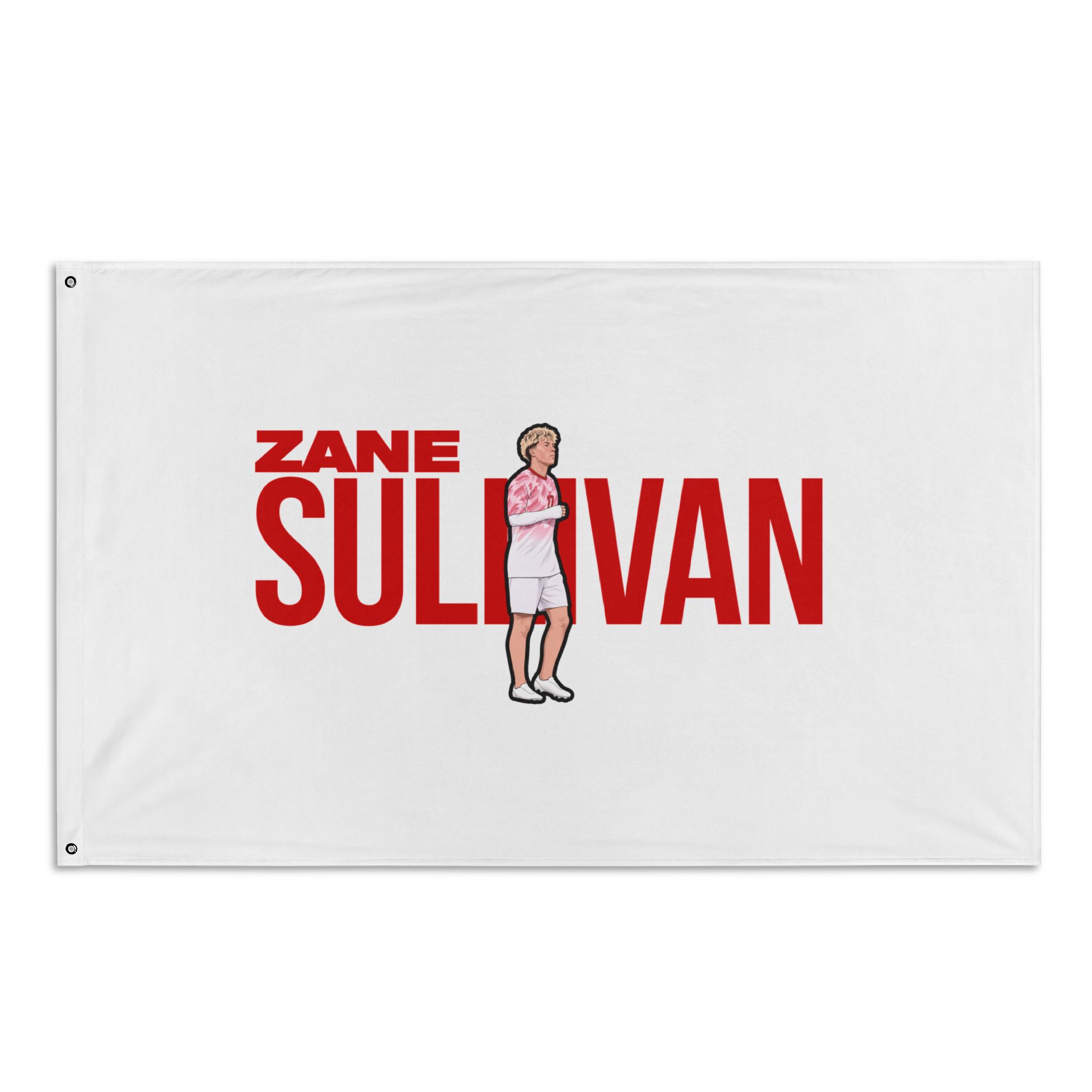 Flag (35 × 56 in)