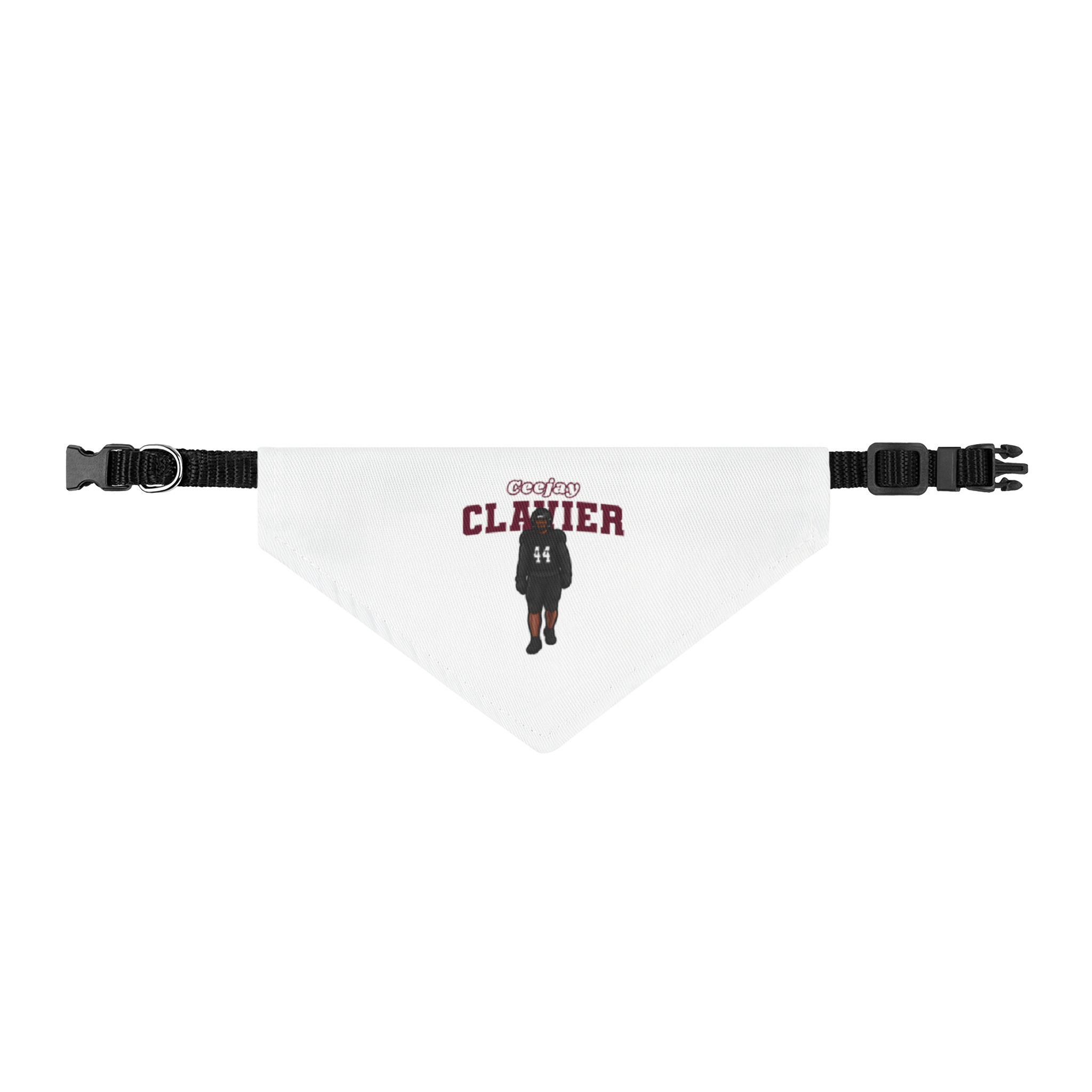 Pet Bandana — character_name_arch in Classic
