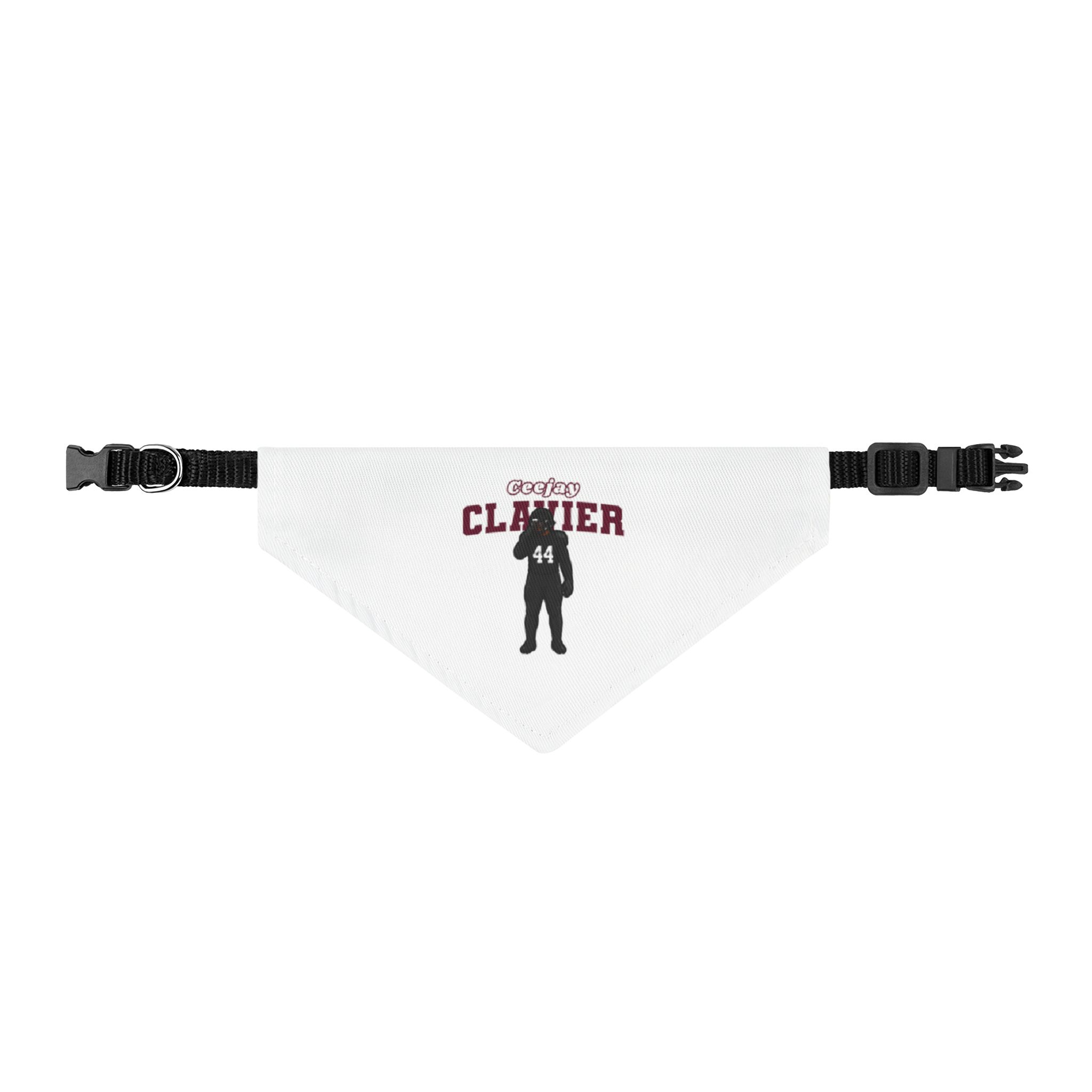 Pet Bandana — character_name_arch in Classic